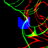 f (2).png