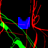 f (11).png