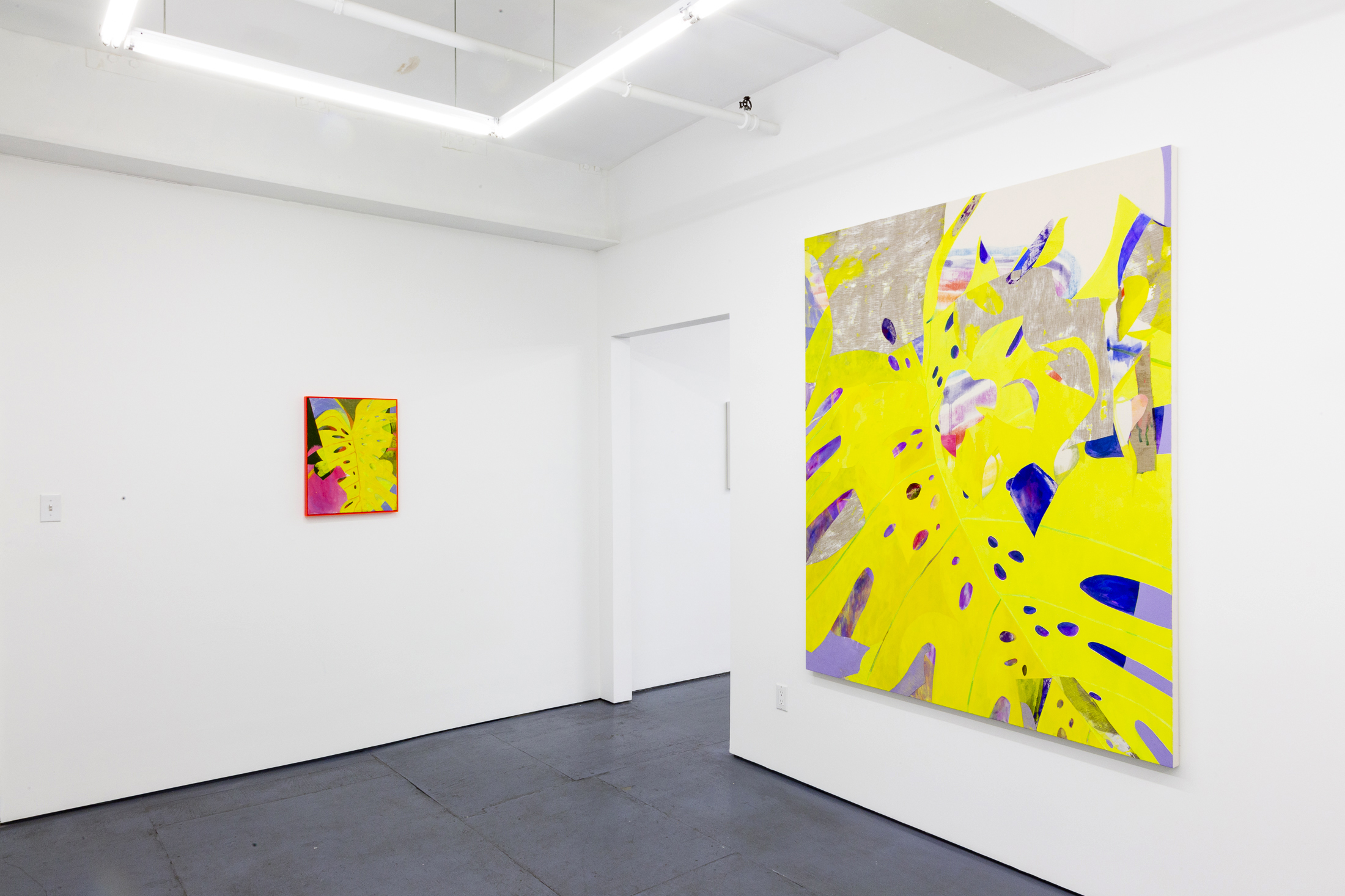 LP install shots (4 of 19).jpg