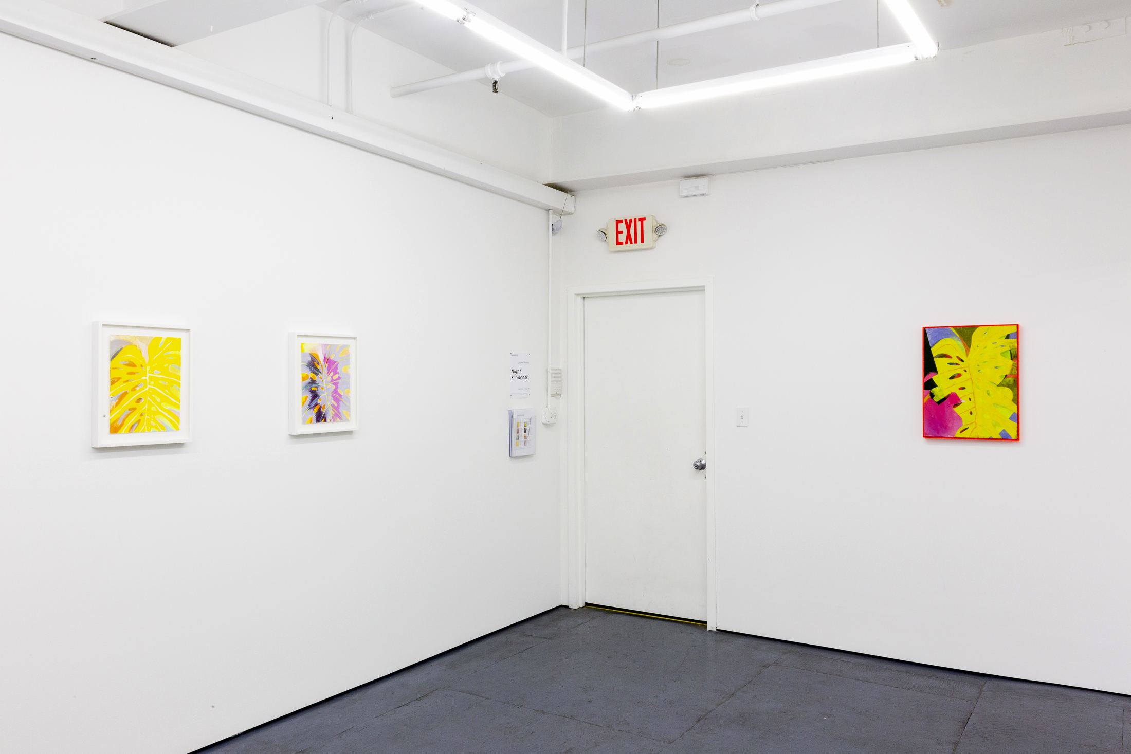 LP install shots (9 of 19).jpg