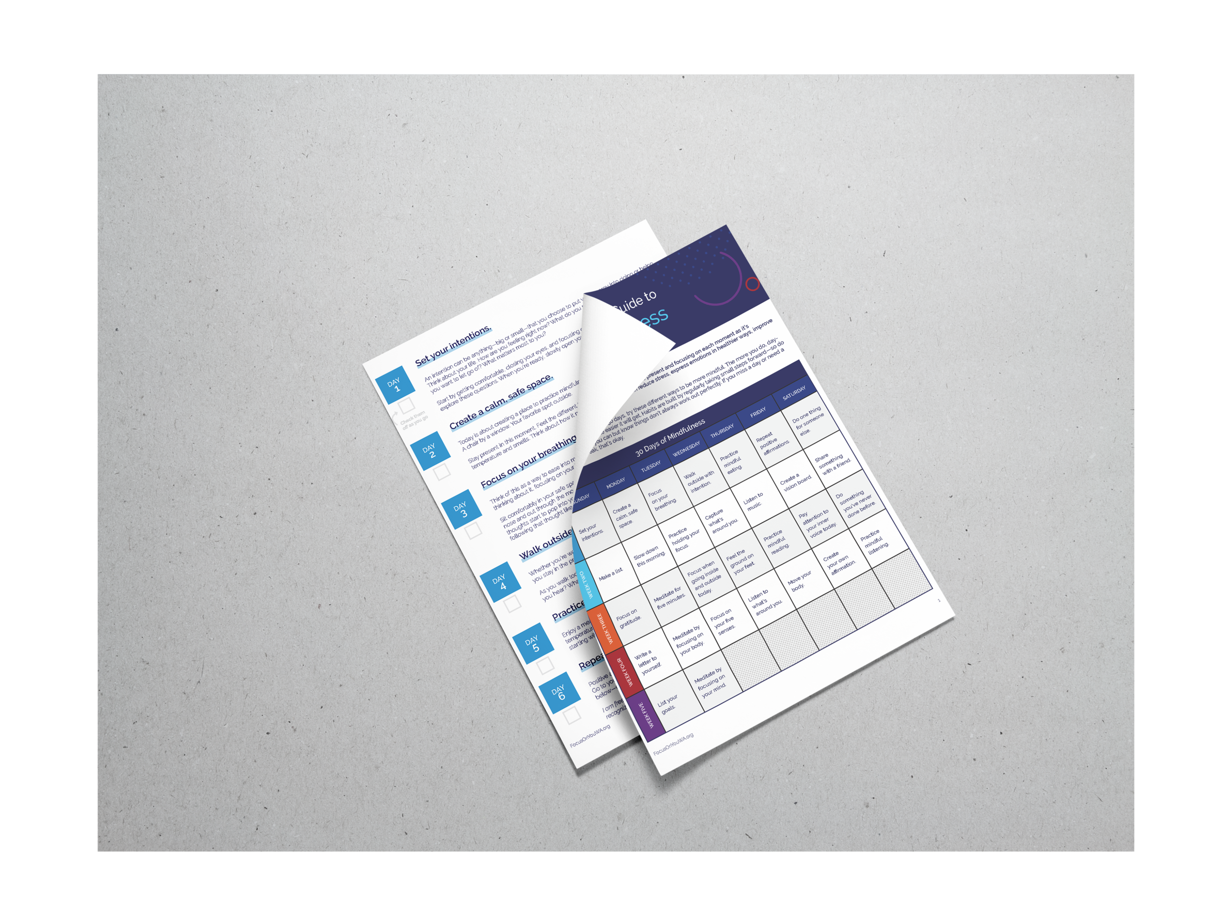 guide mockup.png