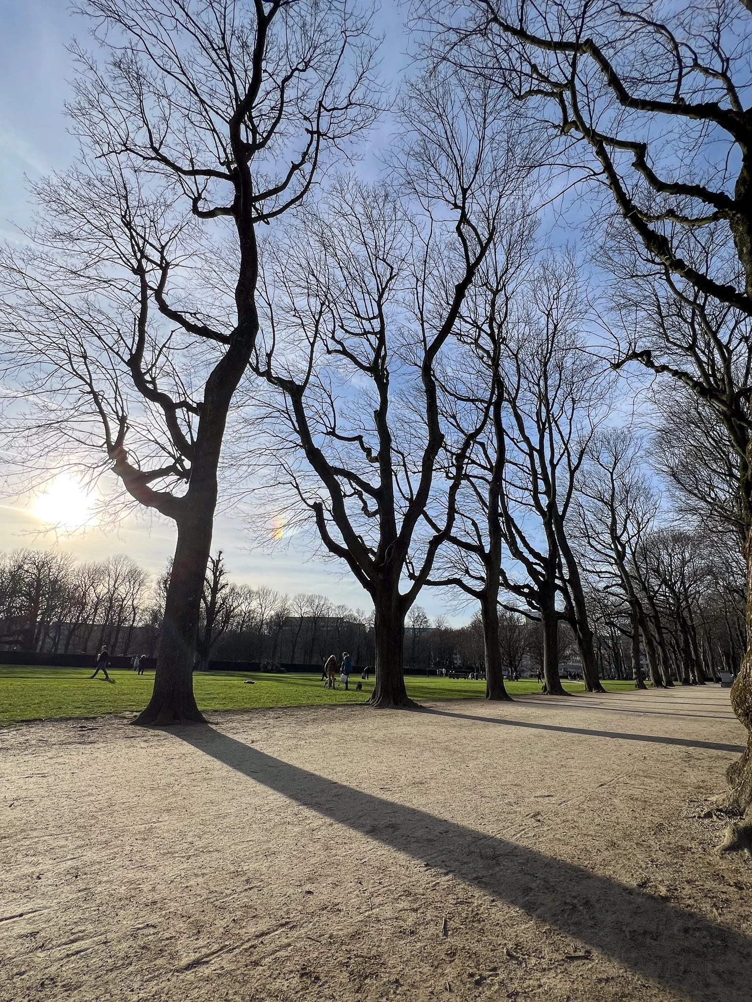 Brussels-2024-01-30.jpg