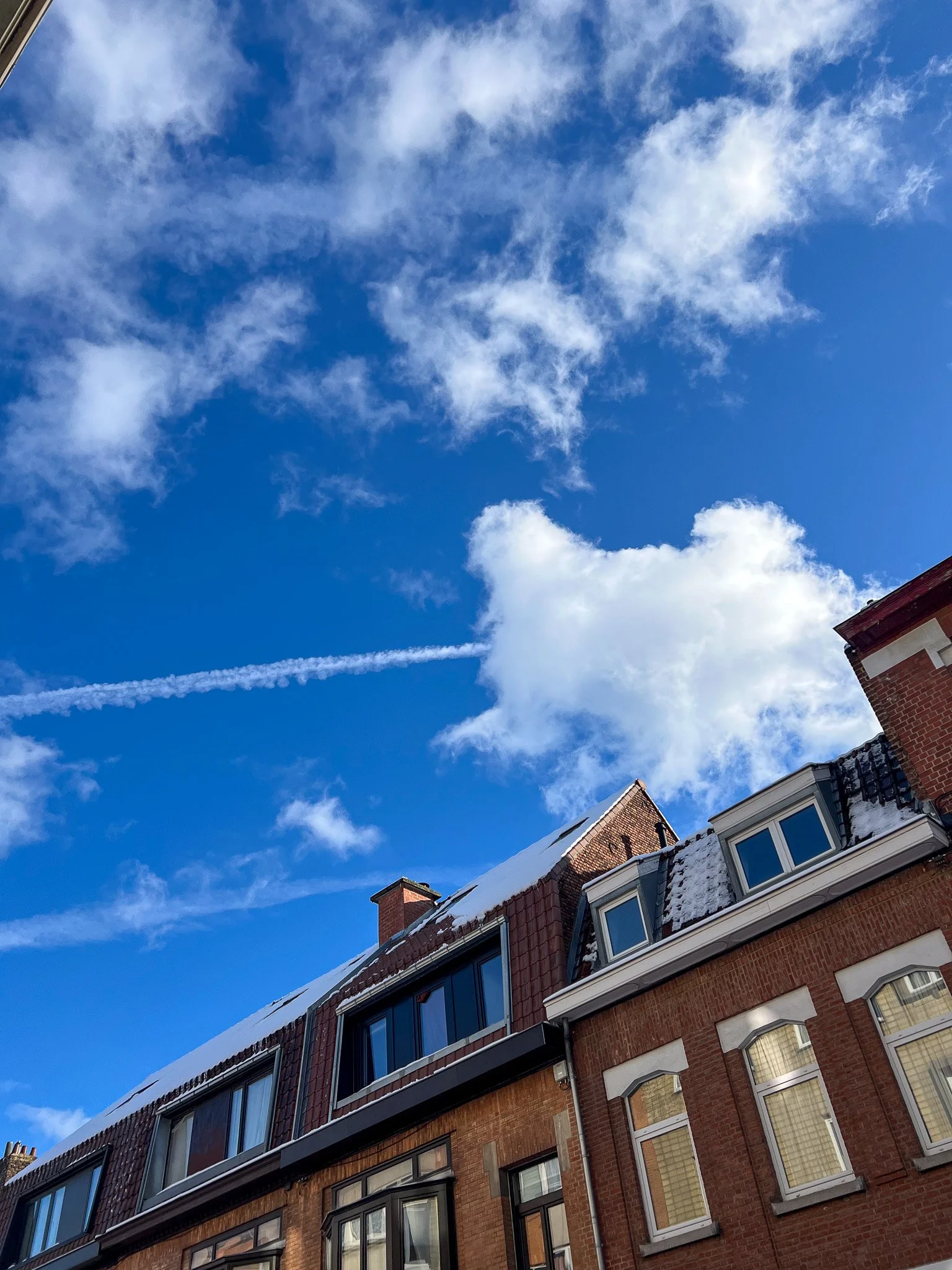 Brussels-2024-01-18.jpg
