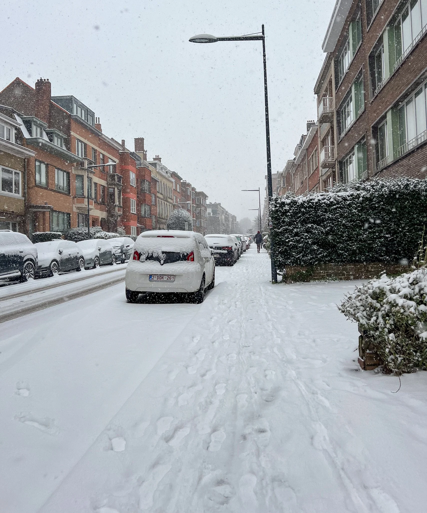 Brussels-2024-01-15.jpg