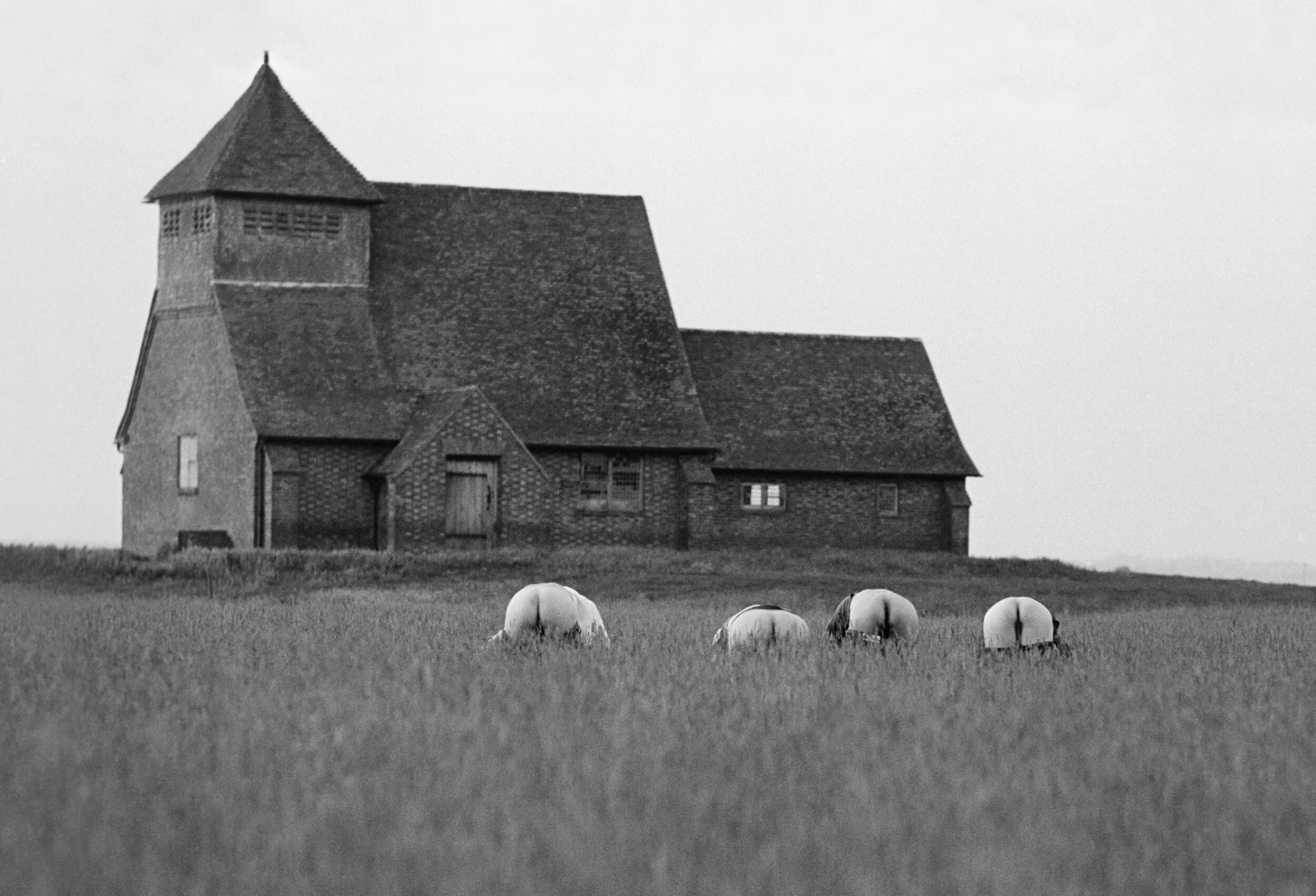 WinchelseaFairfield .jpg