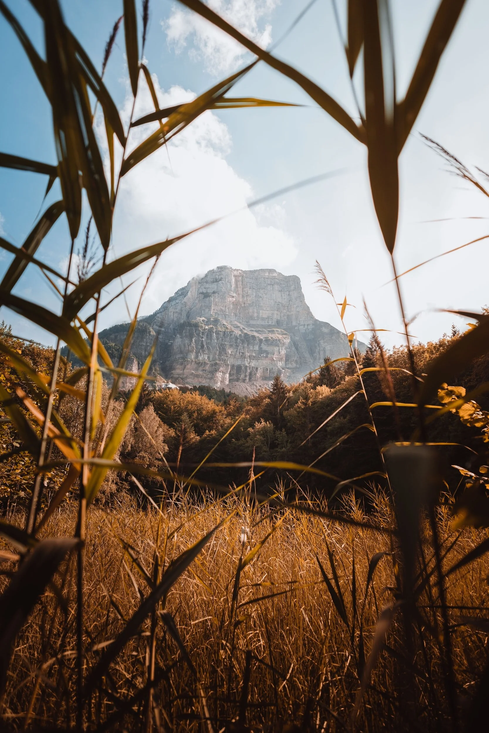 Global Go Africa Webinar September 2020