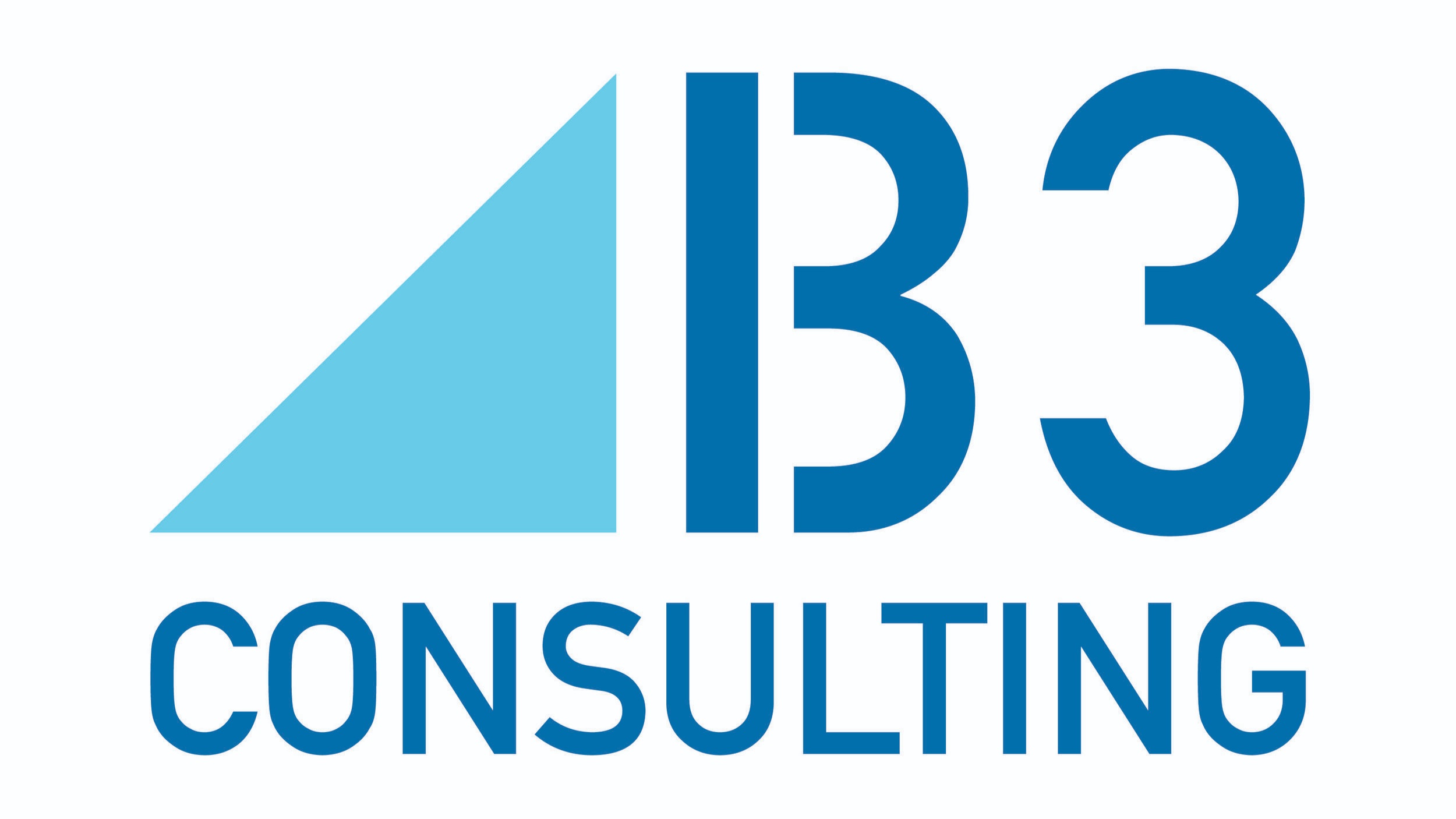 B3 Consulting