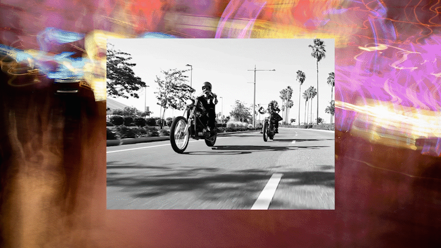 Different Gravy_2.gif