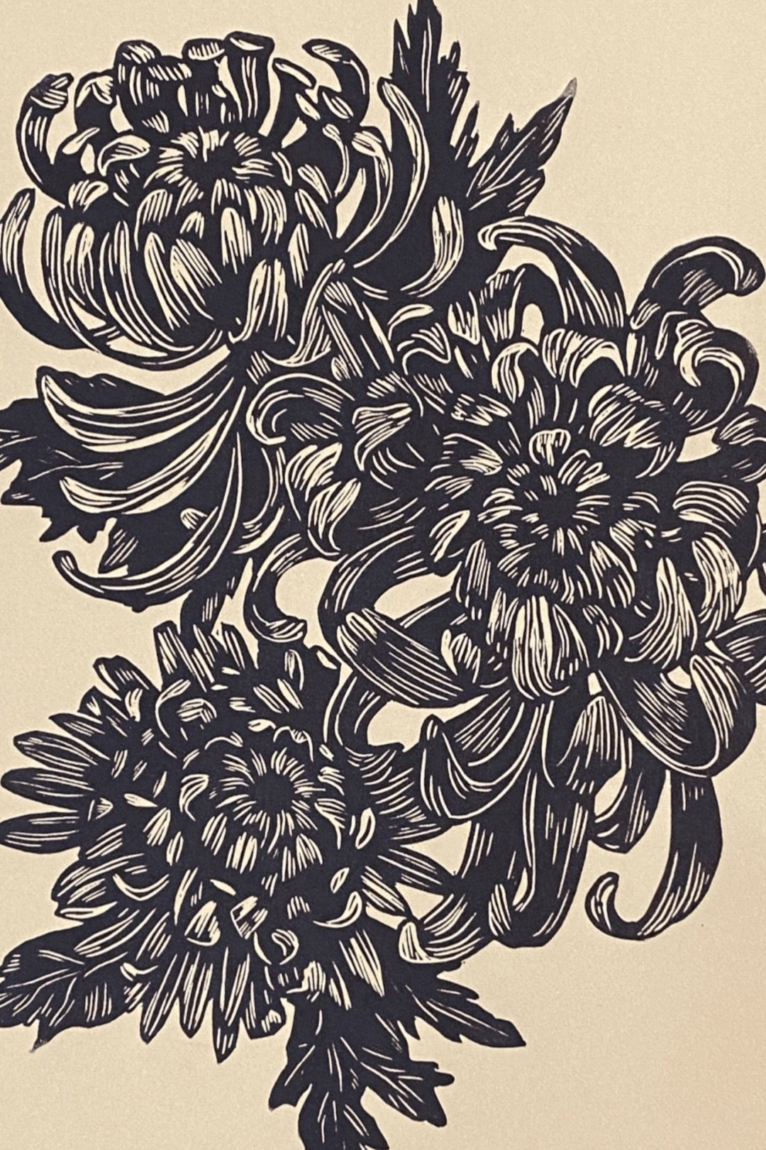 Chrysanthemums, 2020