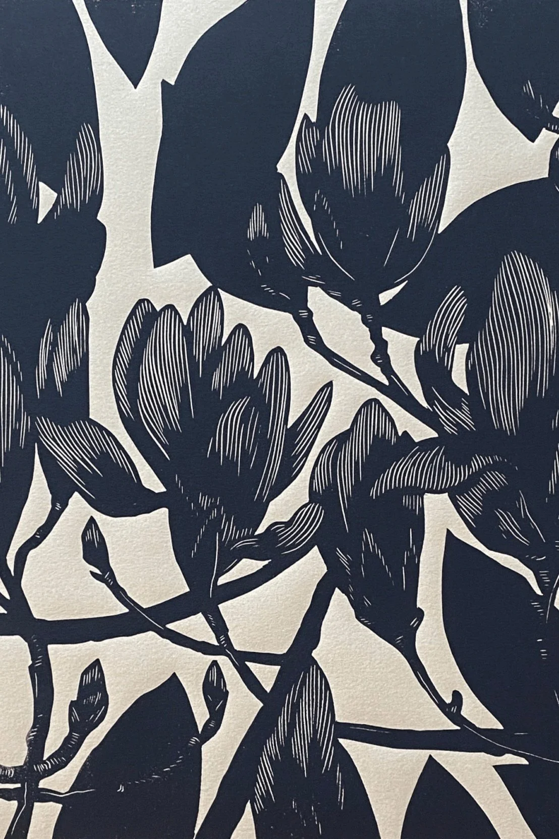 Japanese Magnolias, 2021