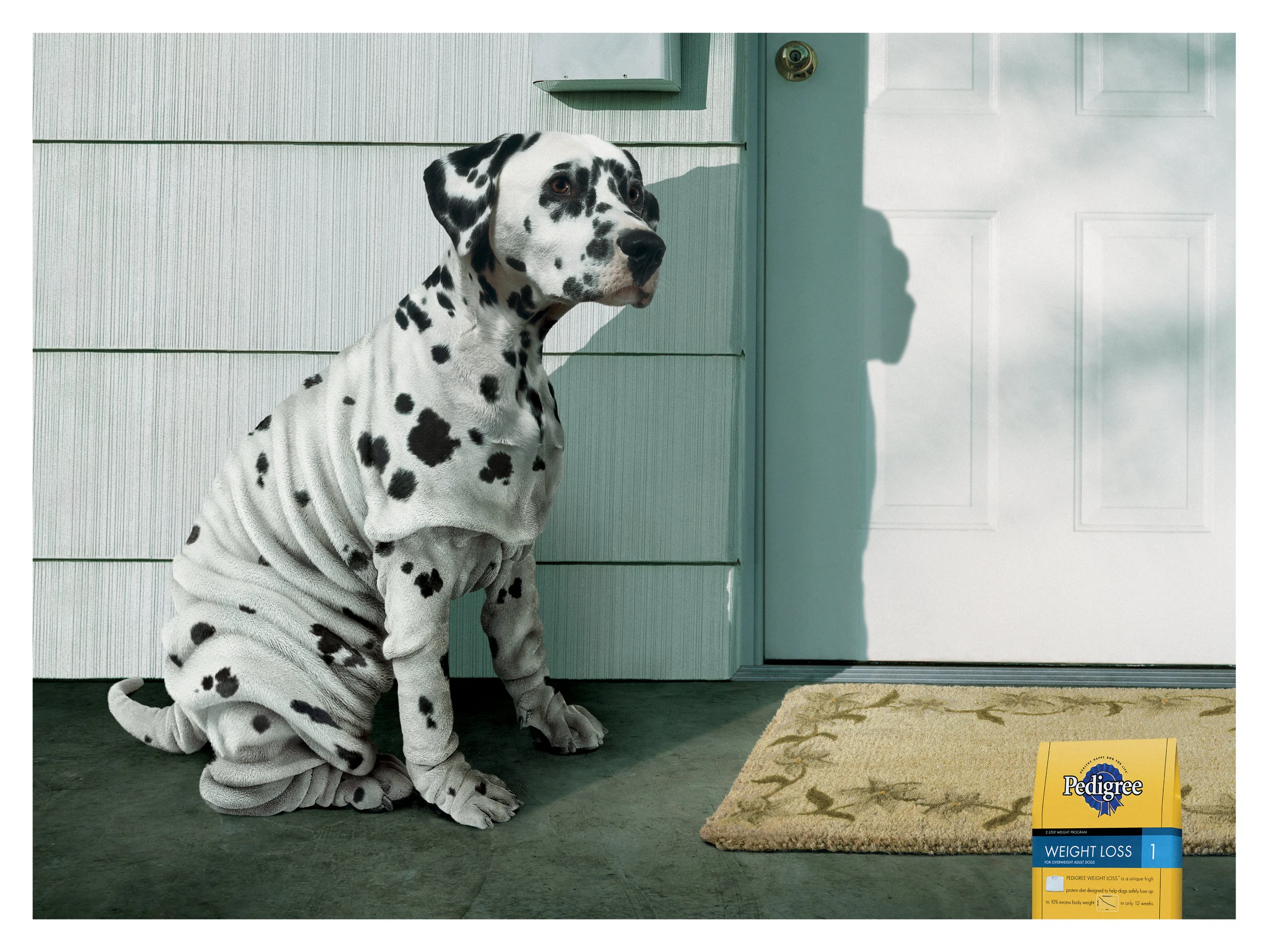 PEDIGREE %22WRINKLY DOG%22.jpg