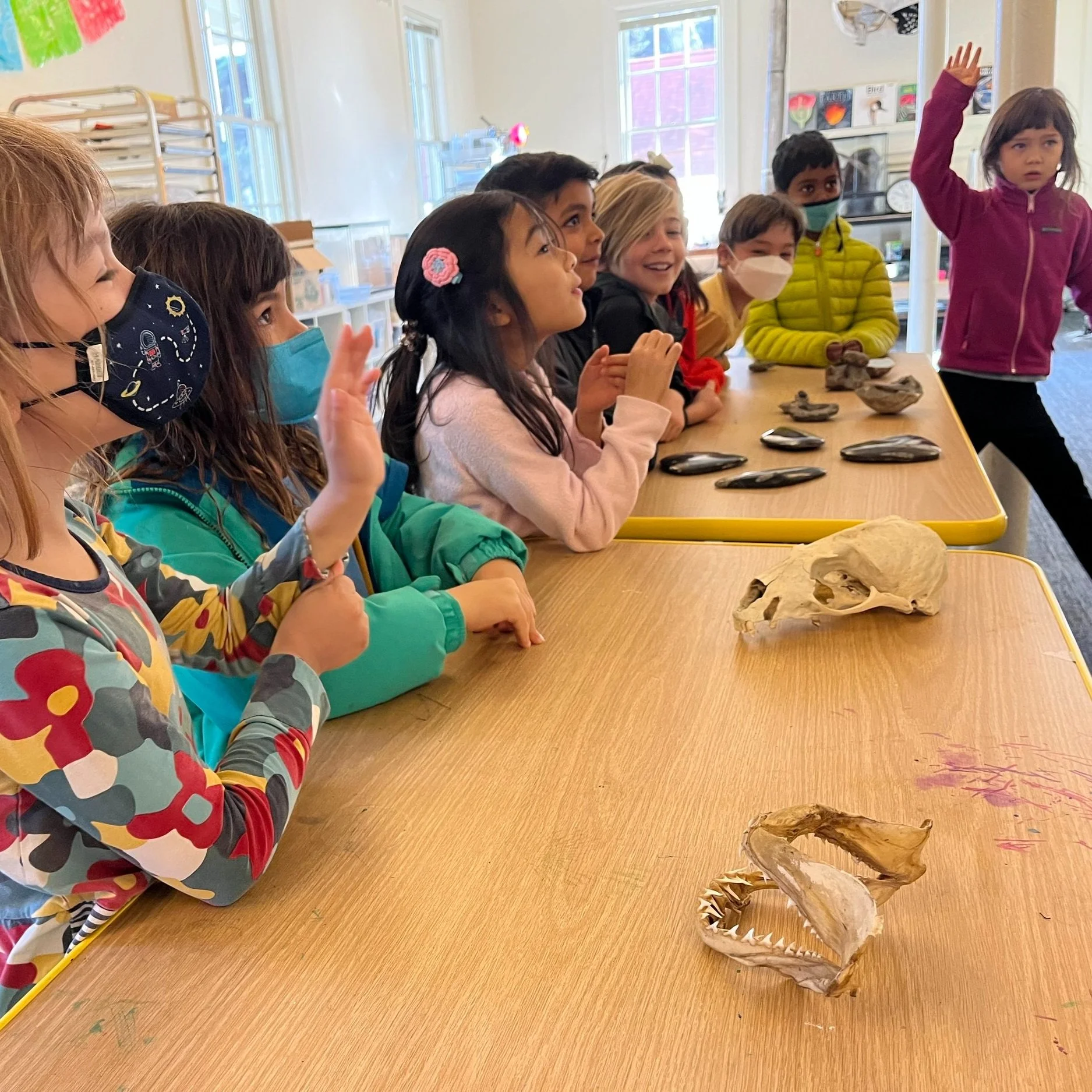 Diamond Band’s Monster Arc Exploration