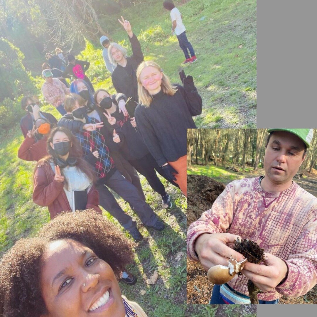 We are making the most of our wonderful location as we continue Underground Arc Exploration in the Presidio! Our HS students have been out exploring &amp; digging, looking for bulbs &amp; roots, cooking up some yummy receipts with root vegetables and