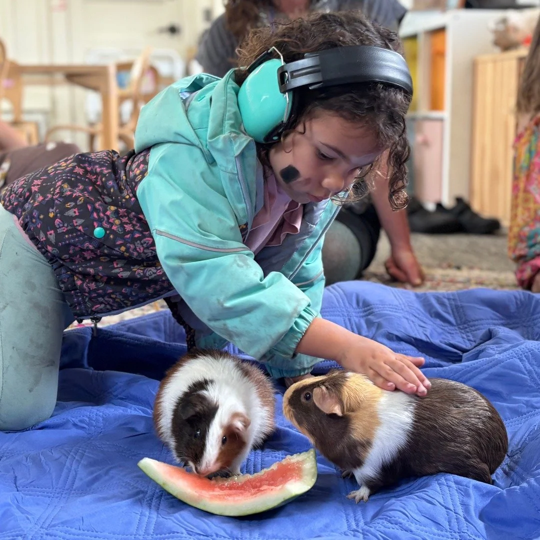 We grew a couple of new community members during Community Arc! Please welcome Cinnamon &amp; Monica! 

These two most adorable creatures currently reside in our youngest students' band spaces where they are being tended to by loving and considerate 