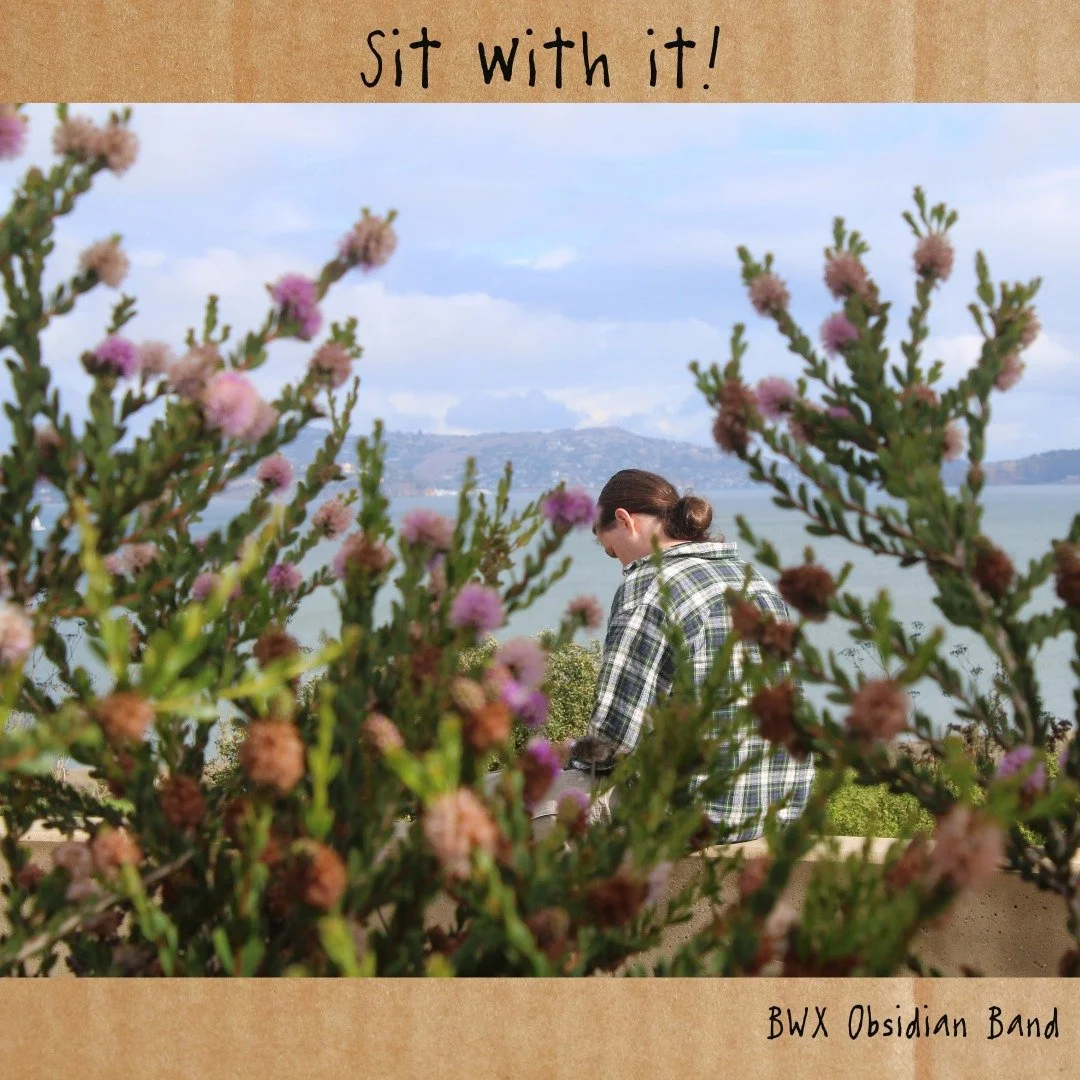 'Sit with it!' - A weekly excursion into The Presidio by our high school students who venture out to observe, sharpen their senses, find inspiration and write about it! Take a peek and imagine how this beautiful tradition serves as a bridge to develo