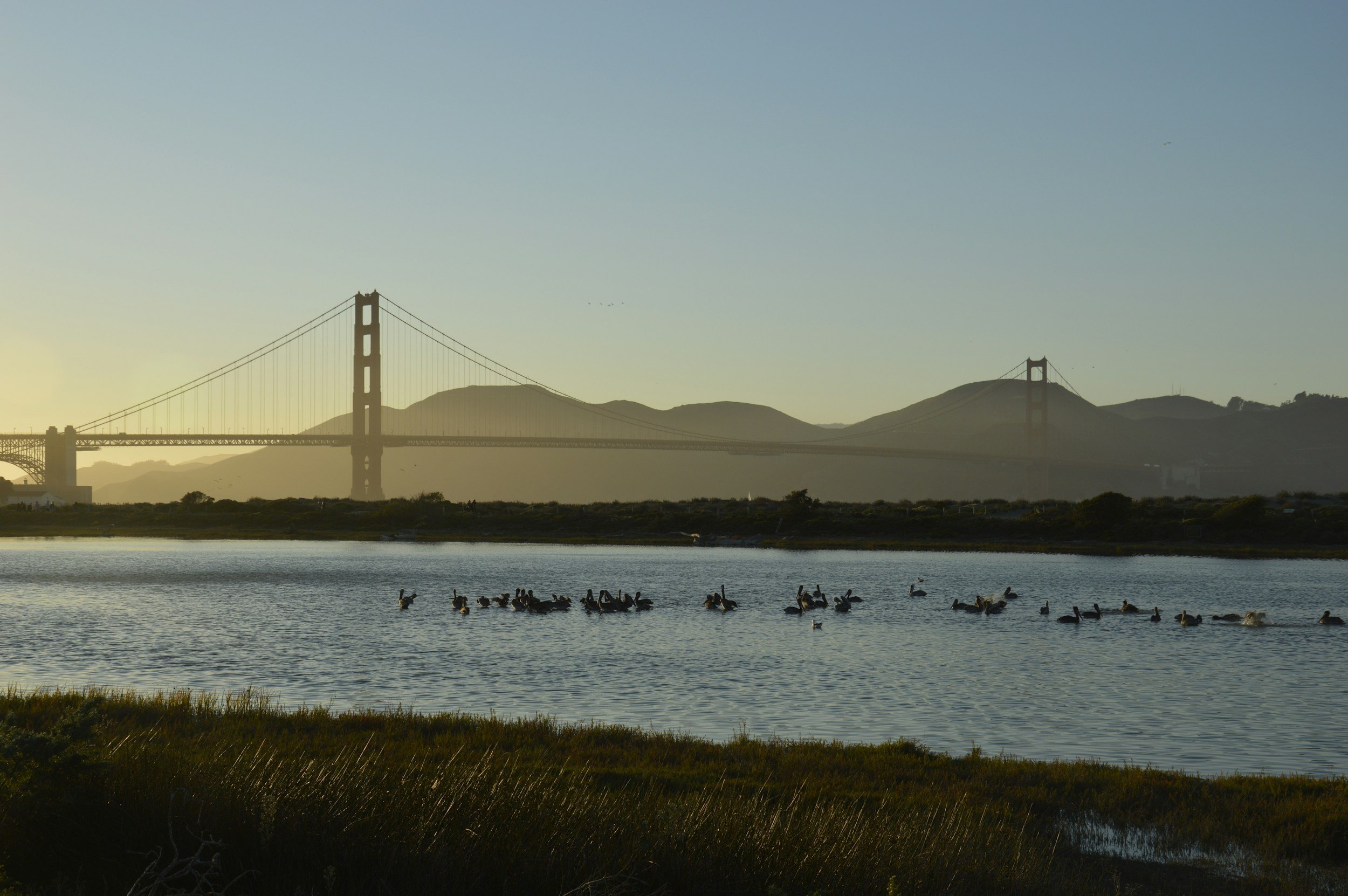 Benefits of Nature in a World Class City