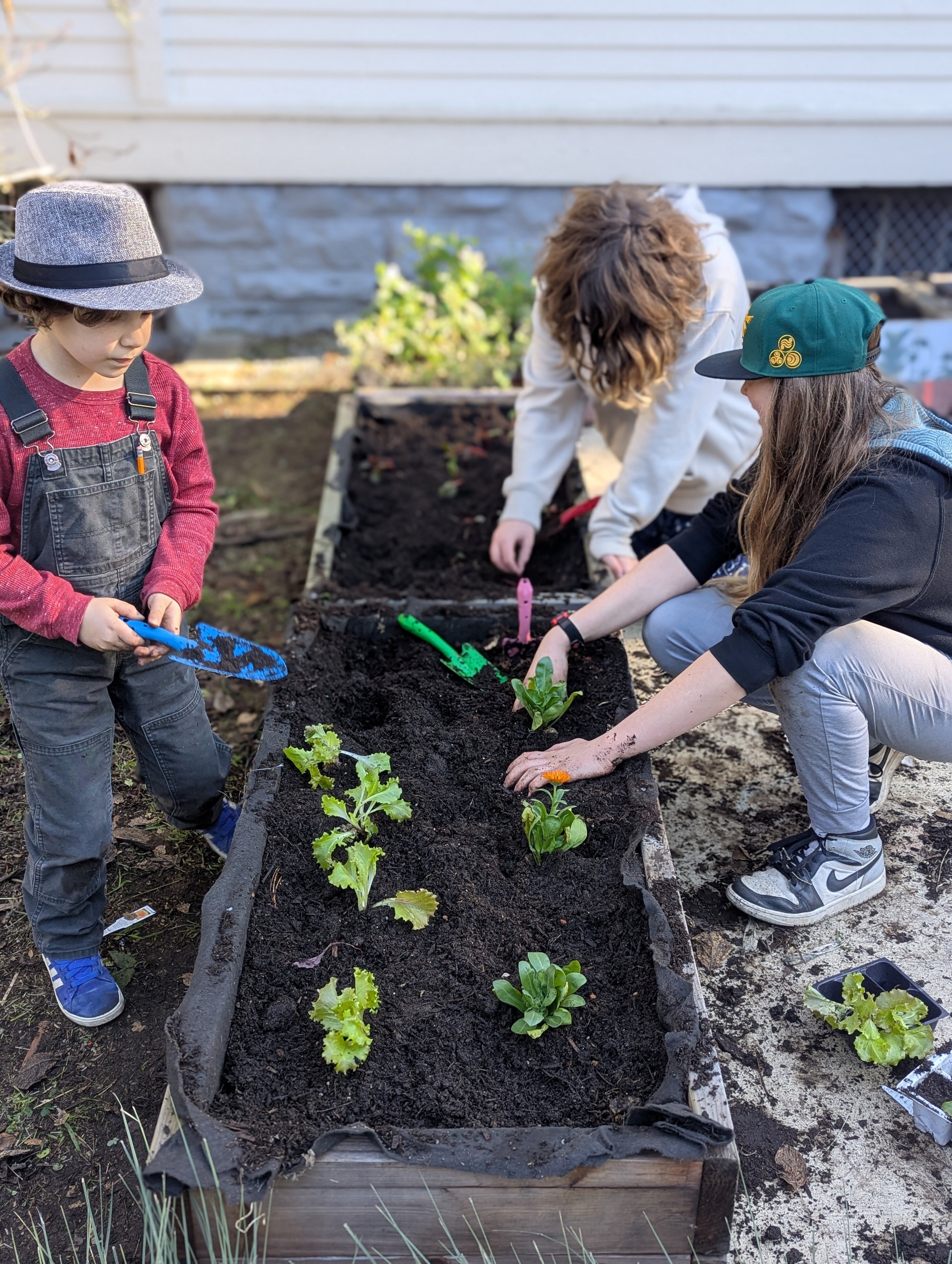 Celebrating &amp; Practicing Wellness