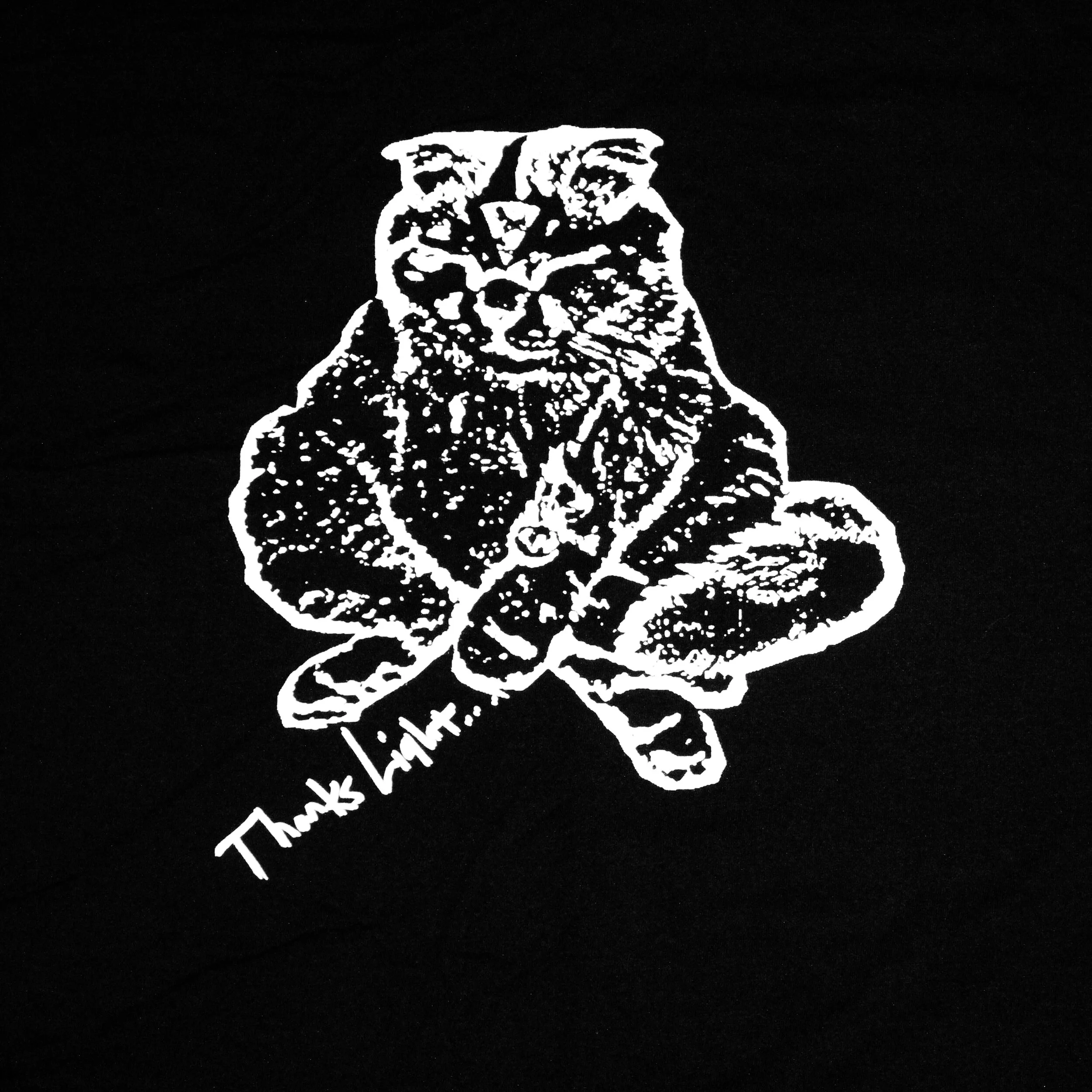 Pizza Cat T-Shirt — Thanks Light