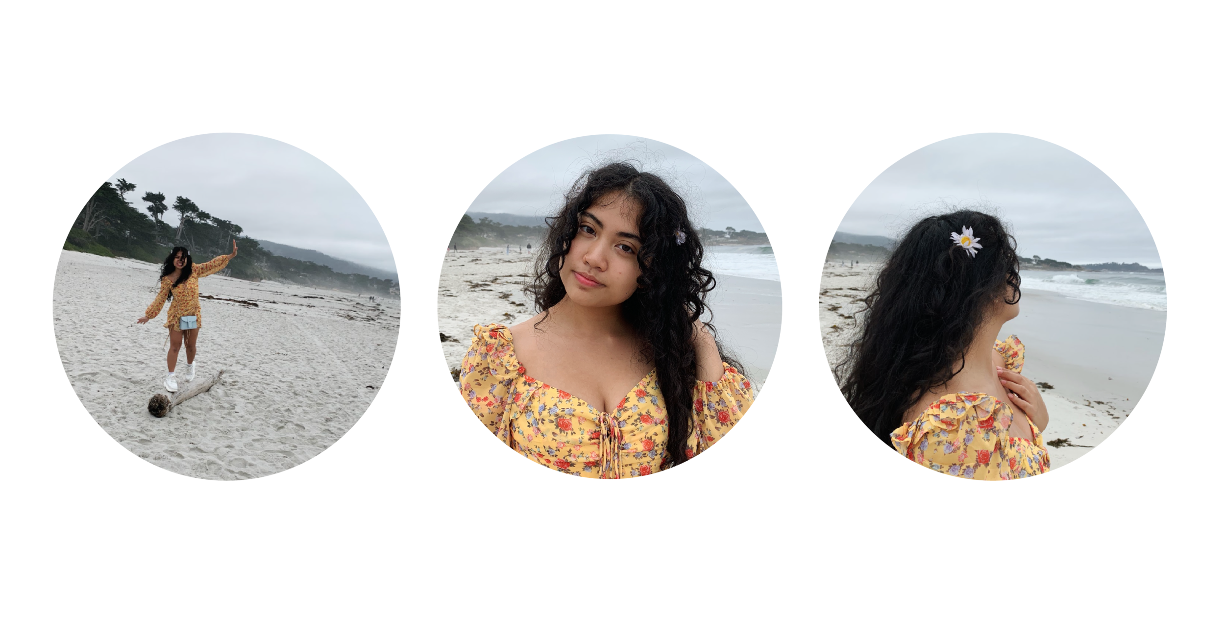 PORTFOLIOHEADER-23.png