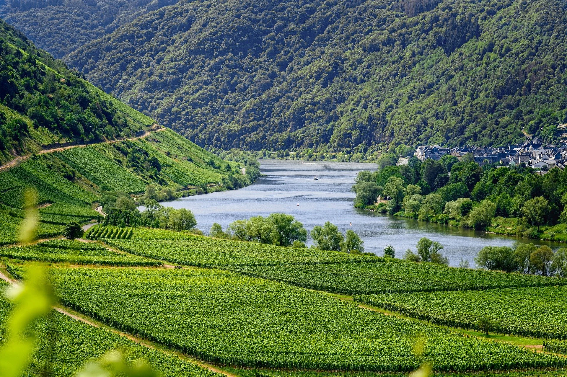 moselle-4336787_1920.jpg