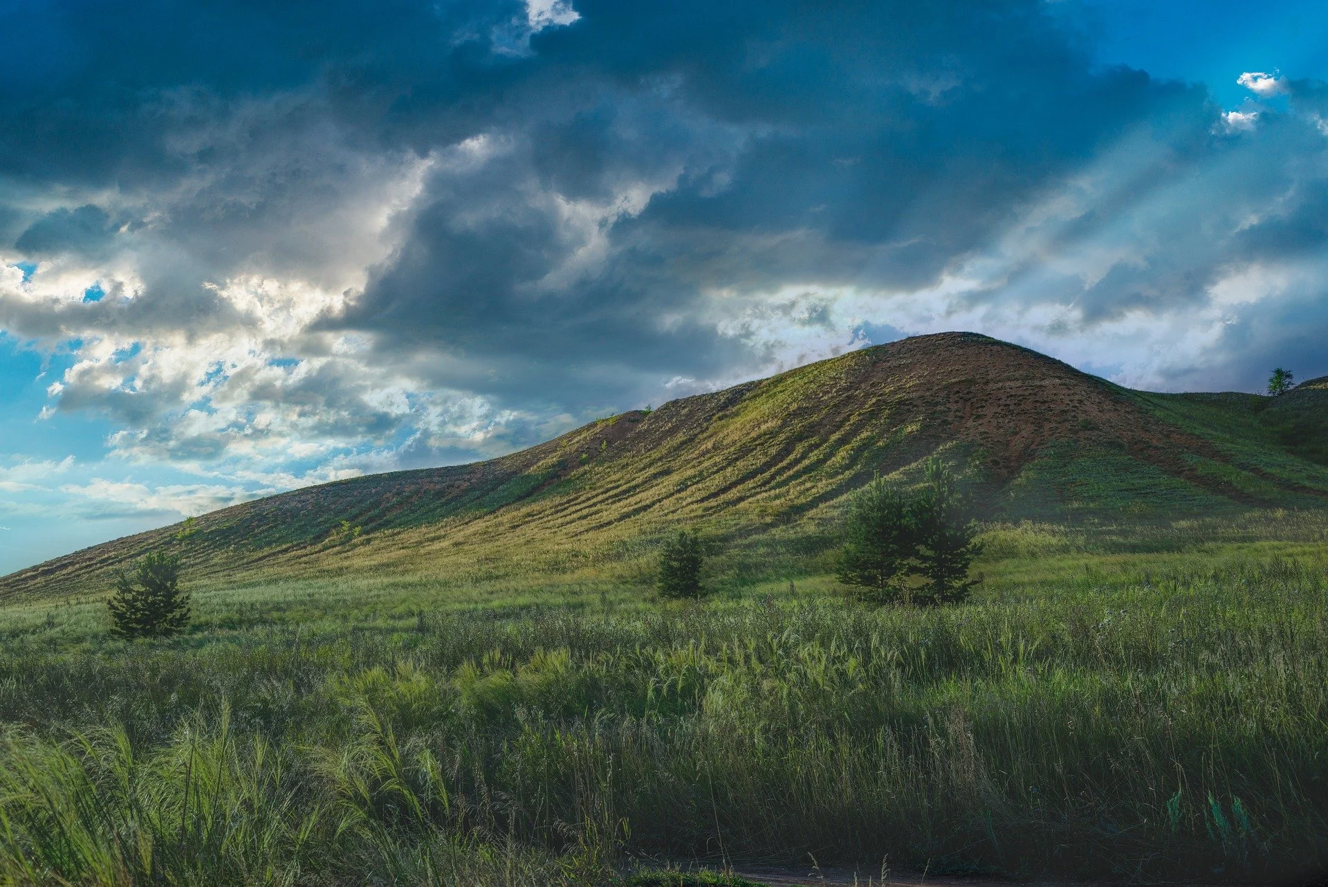 nature-6868923_1920.jpg