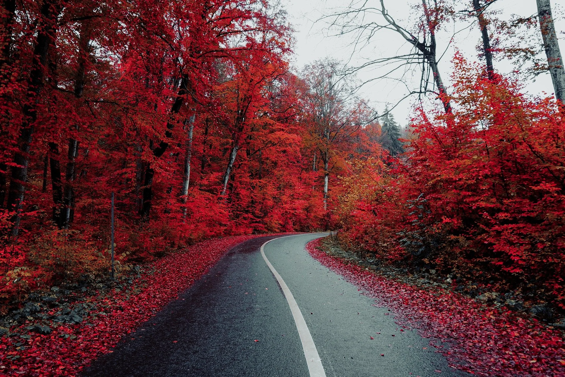 road-5710320_1920.jpg