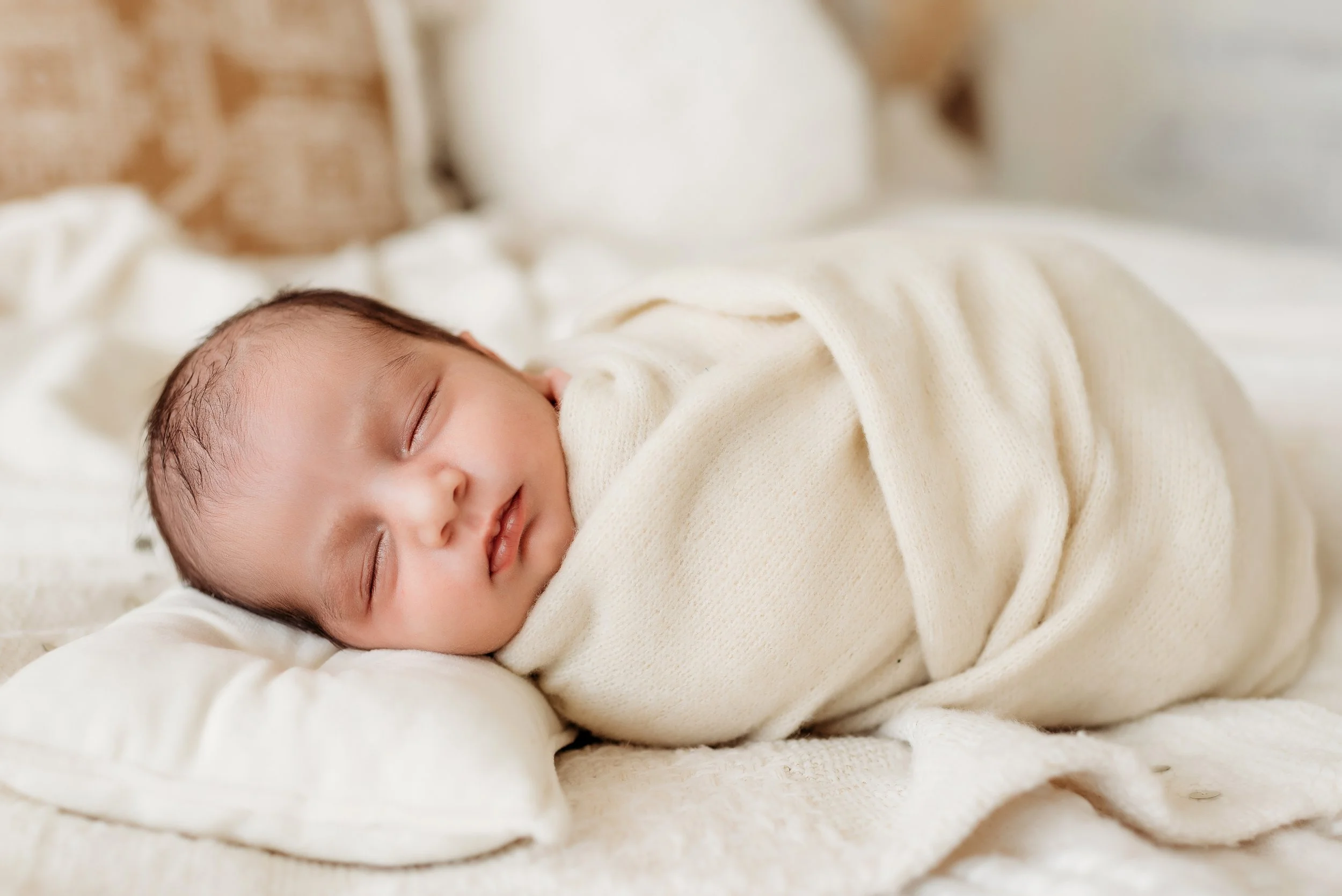 Milwaukee Studio Newborn Session