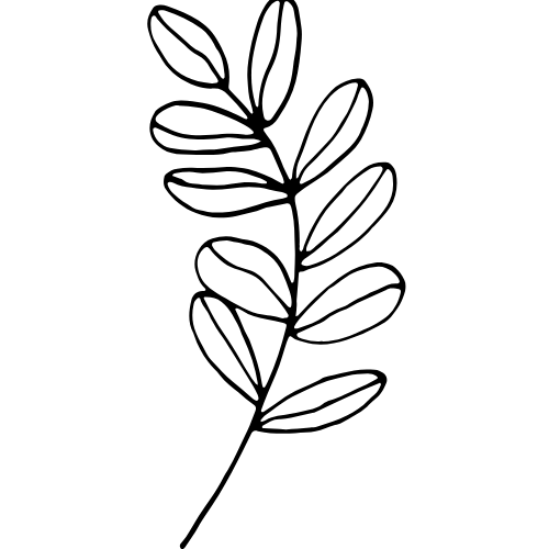 Gracefully Thriving Co