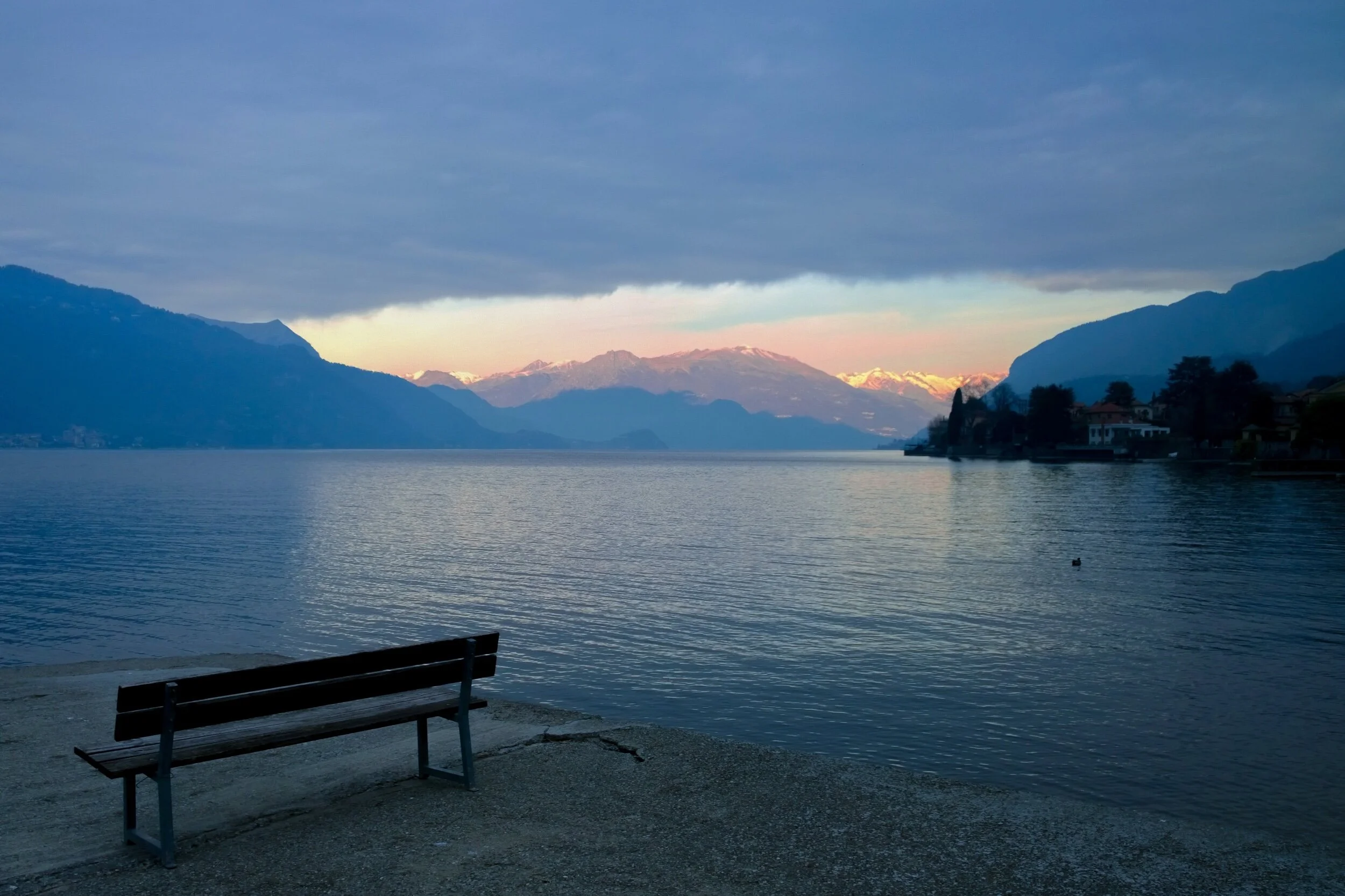 24983DC0-1D40-4C60-965E-E44028D68720.jpeg