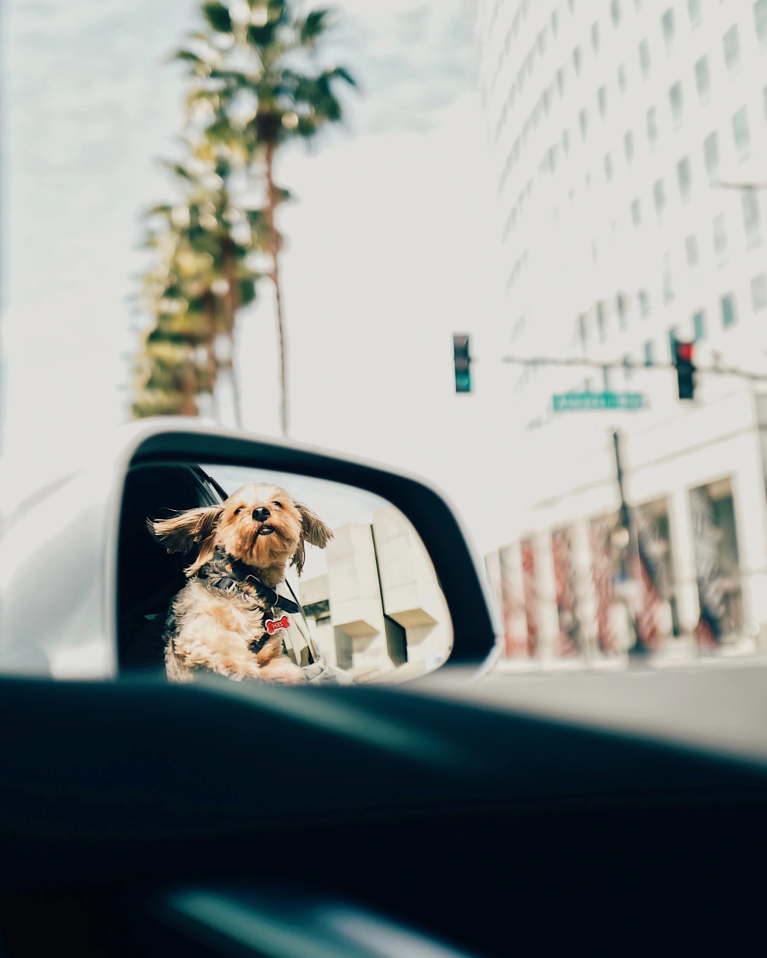 Sermon &amp; Worship Services