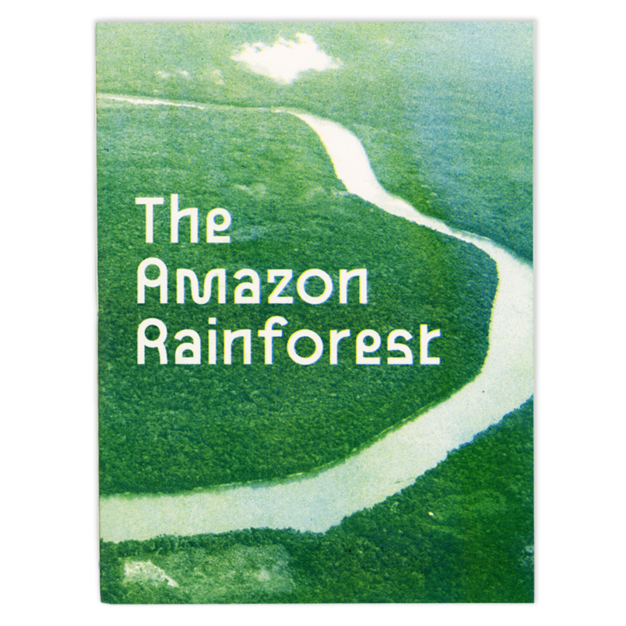 SibbaHartunian_TheAmazon1 copy.png