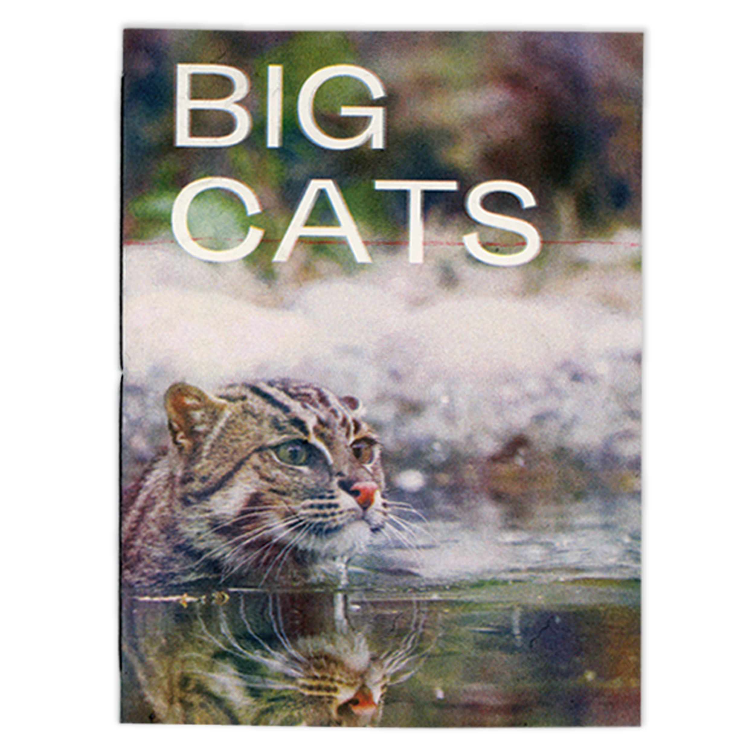 SibbaHartunian_BigCats.png