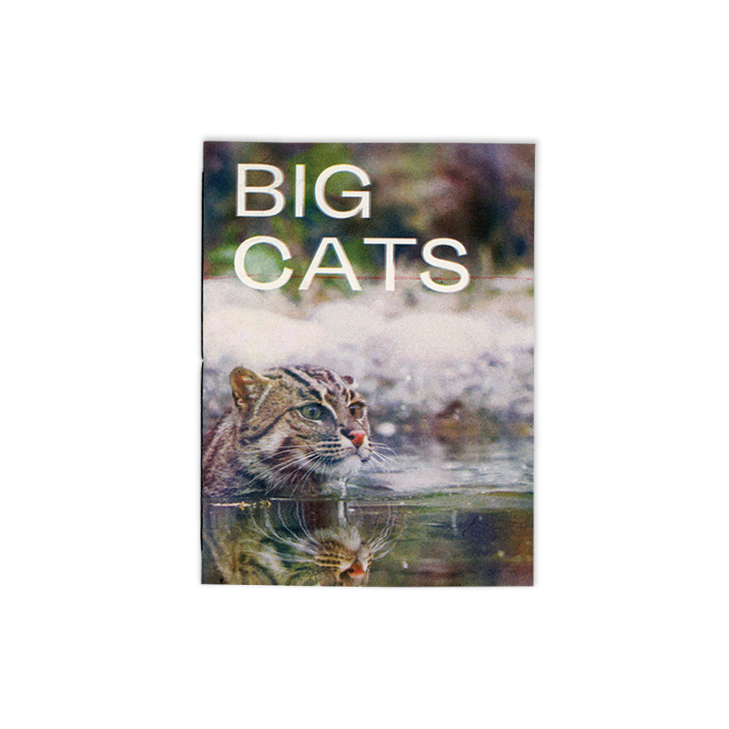 SibbaHartunian_BigCats1.png