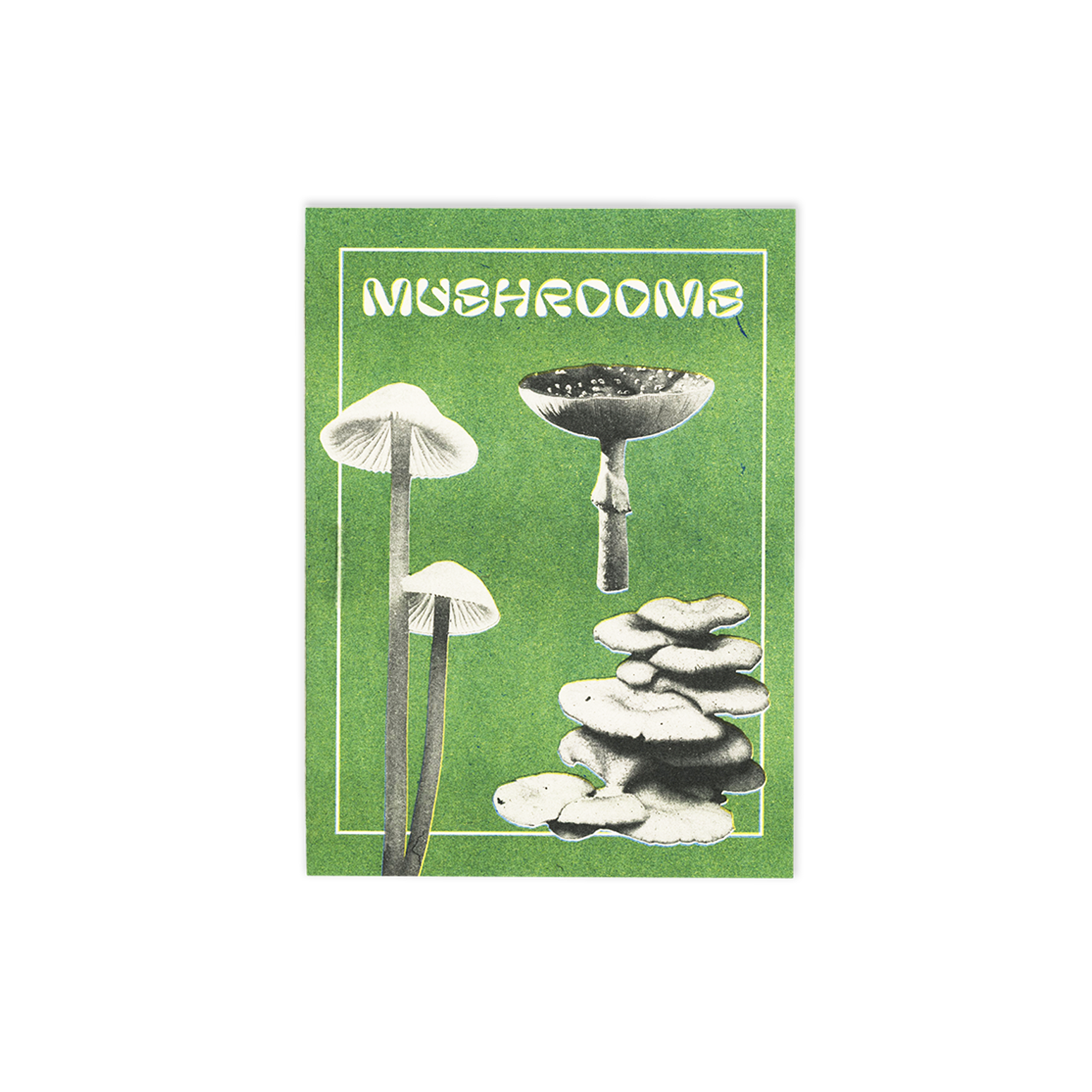 SibbaHartunian_Mushrooms1.png