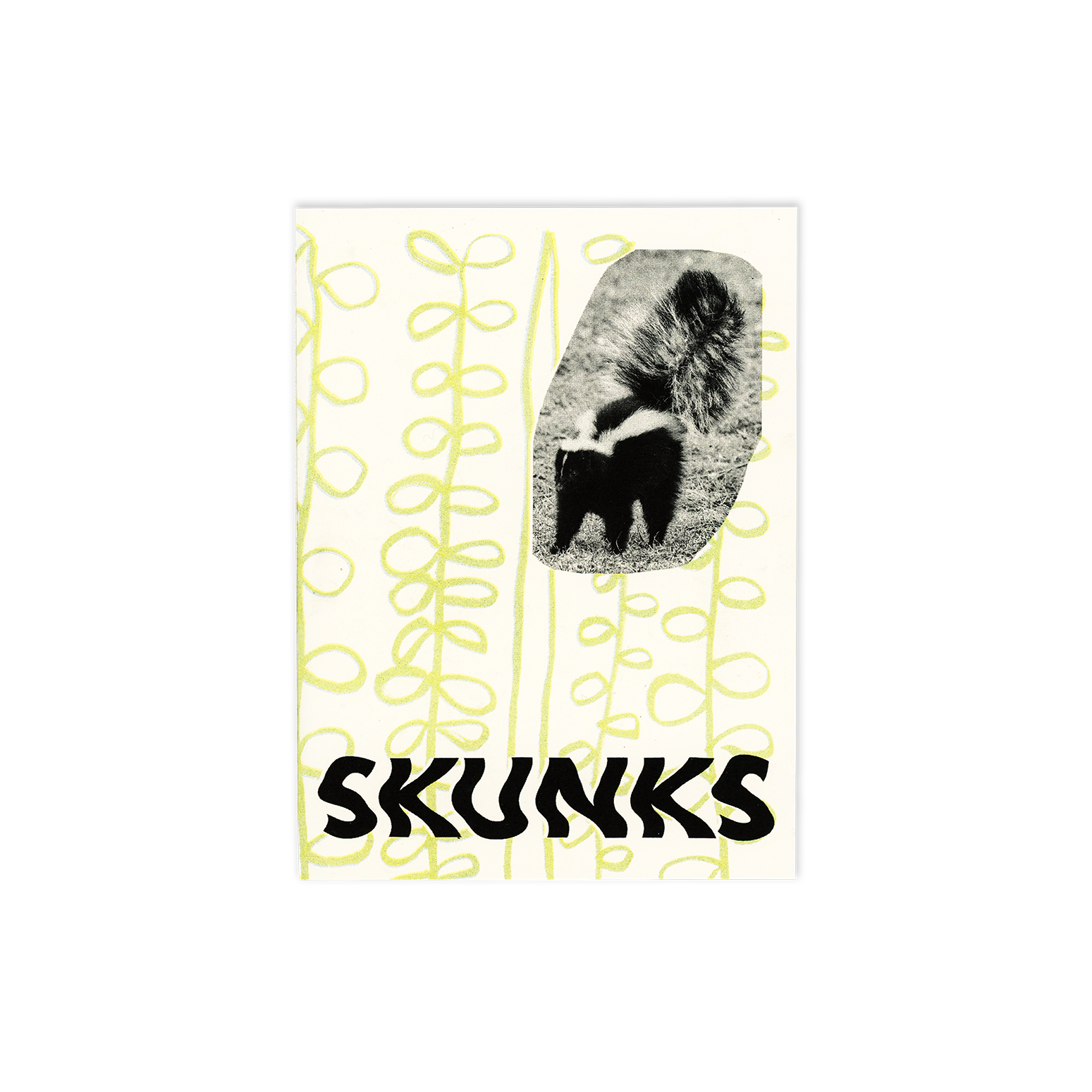 SkunksSite1.png