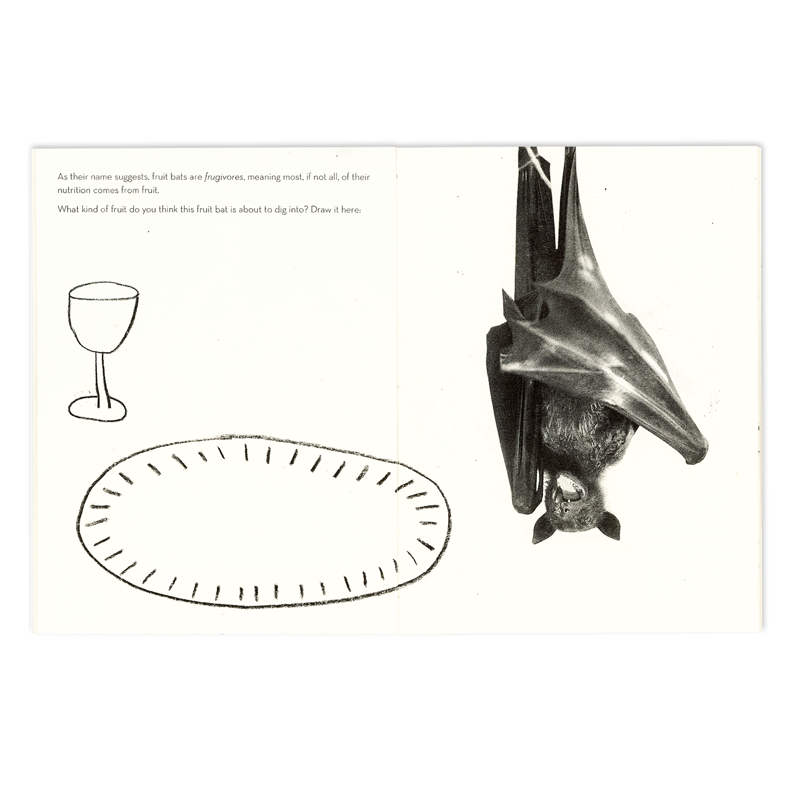 SibbaHartunian_FruitBats_04.png