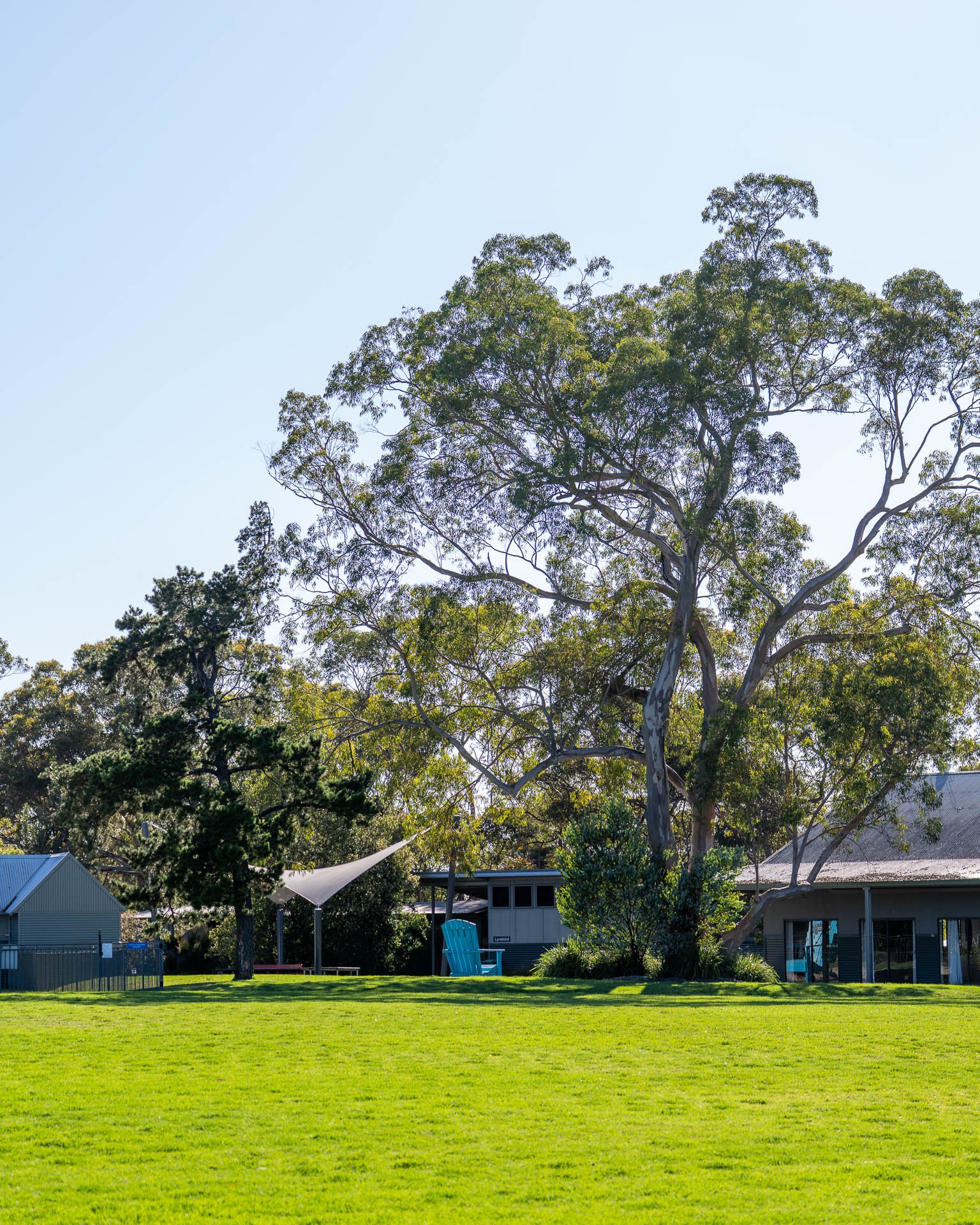 Spring has officially sprung at Galston! The sun is out, lawns are mown and the weeds have been plucked! The team has been working hard to prepare for the summer months ahead and the thousands of visitors we're expecting in the lead up to Christmas. 