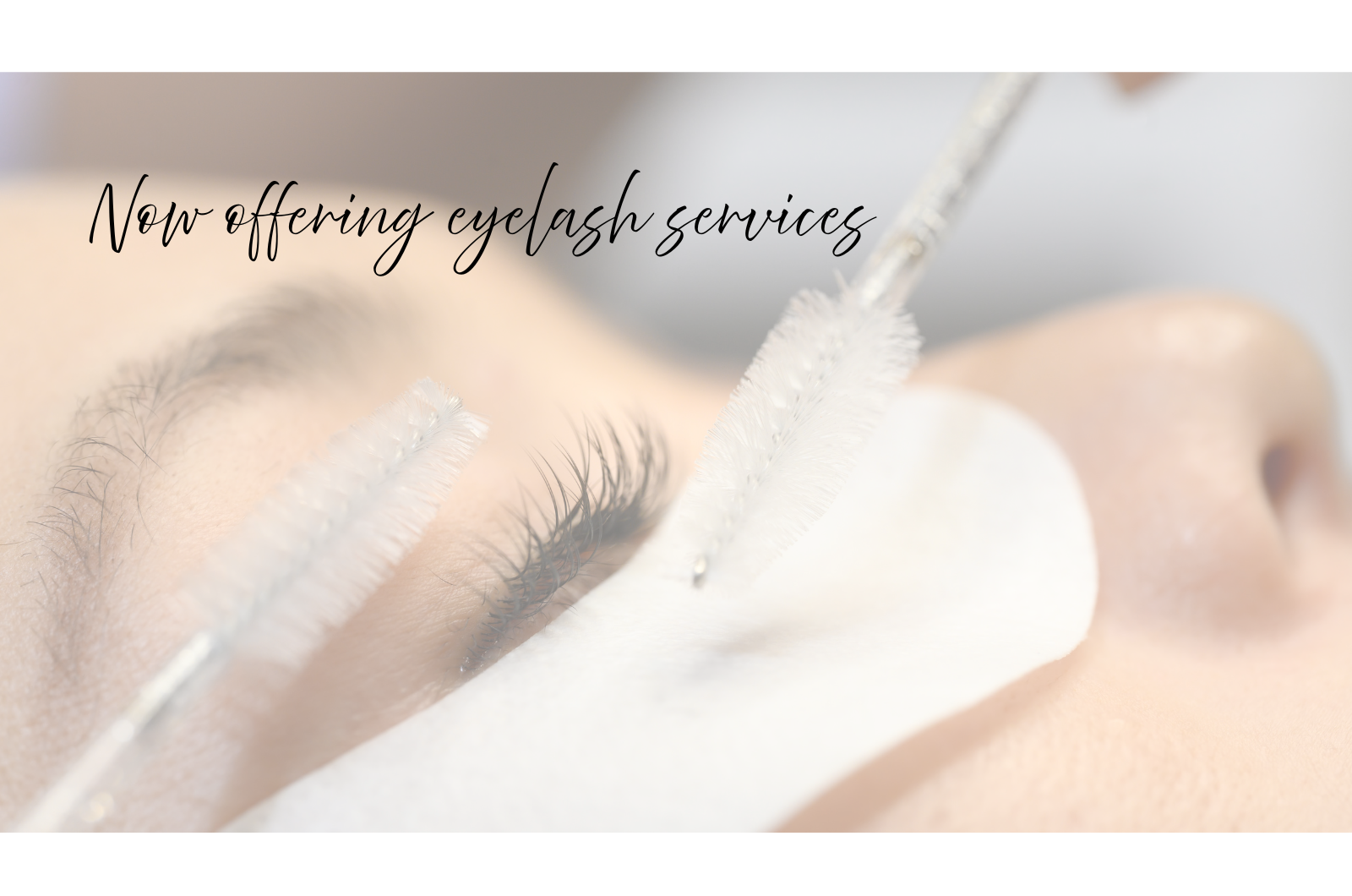 Now offering eyelash services (4).png