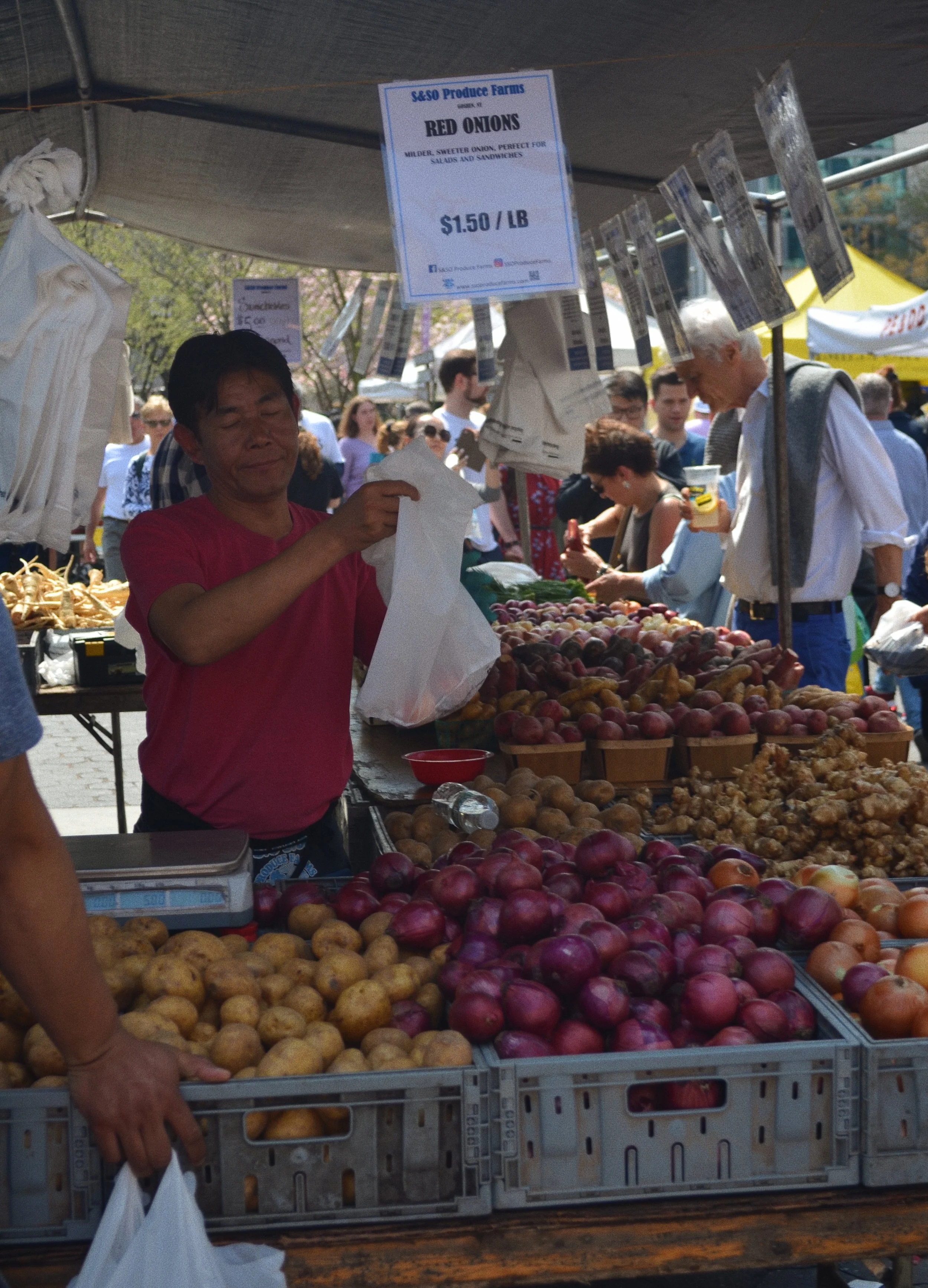  New York City, New York  April 2019  Shot on Nikon D5100 