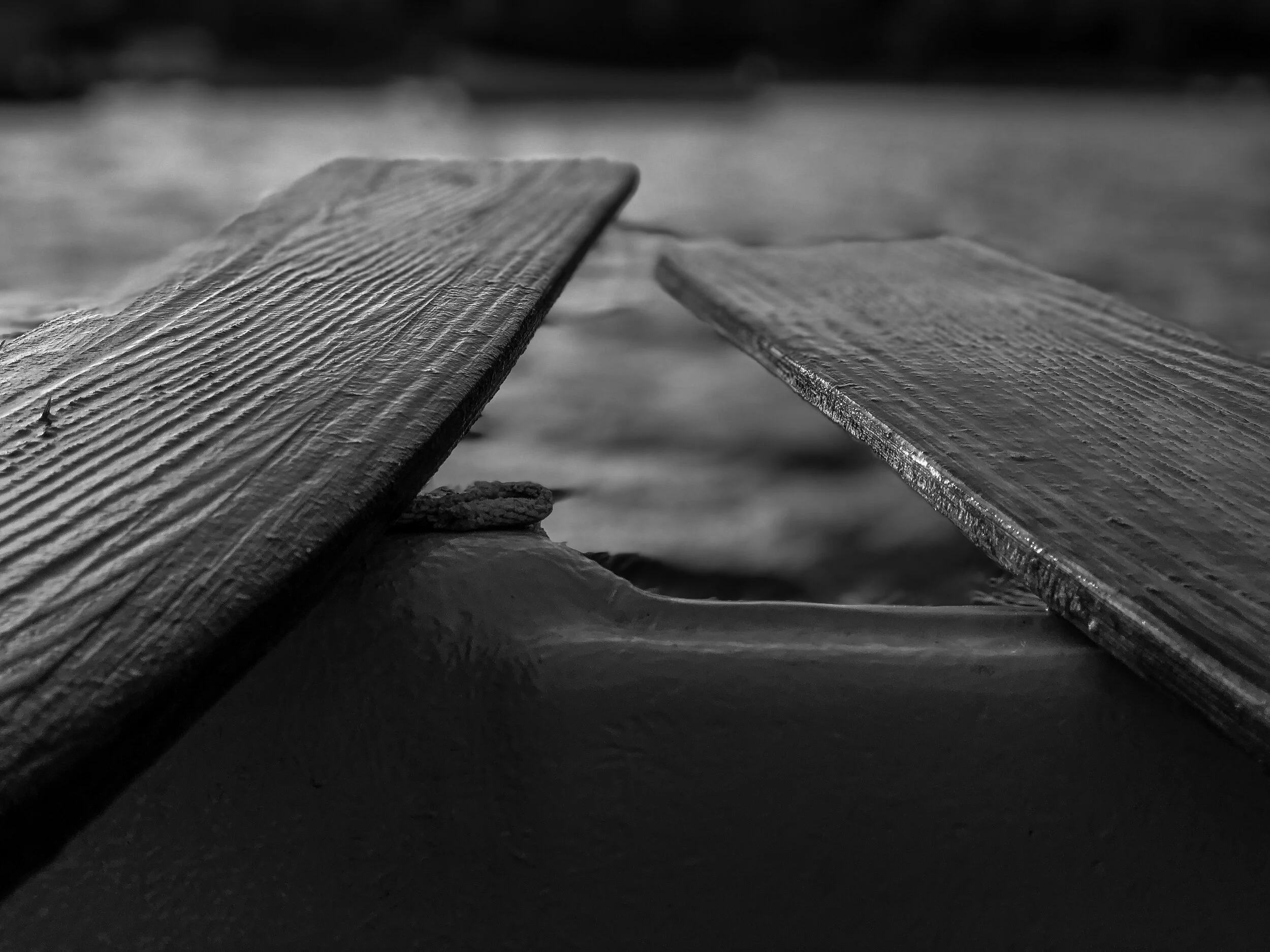 oars