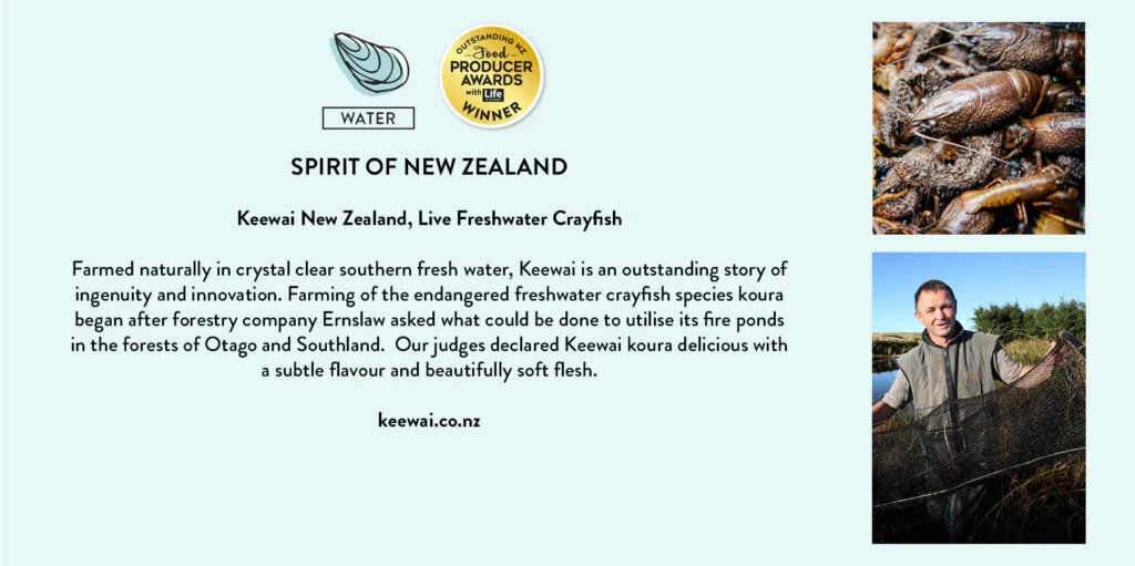 nzwaterwinner1-3-1024x511.jpg