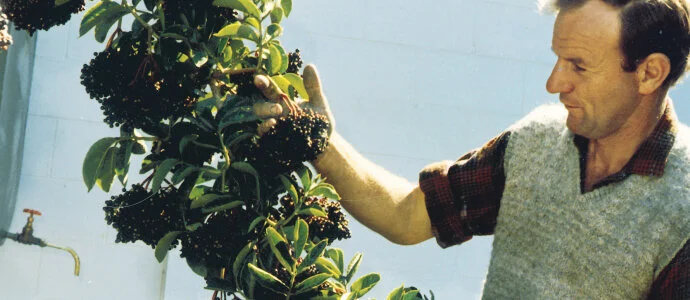 Anthony Barker and the elderberries from Barkers.co.nz