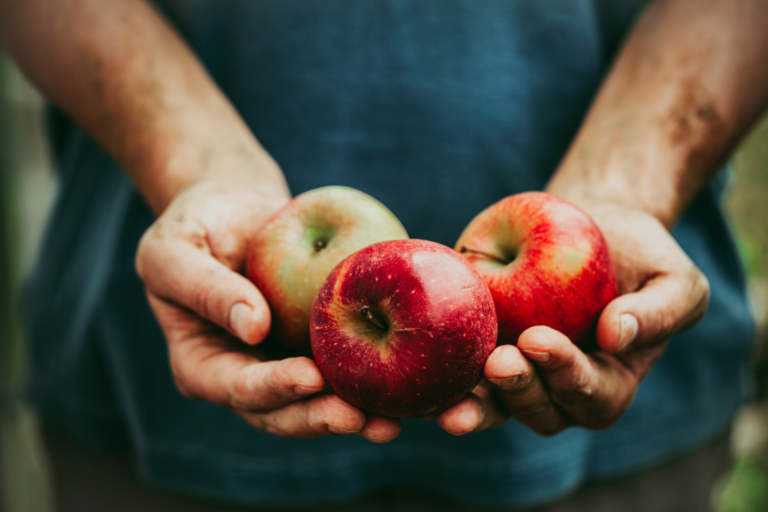  Comparing Apples with Oranges | Meet the 2018 Judges