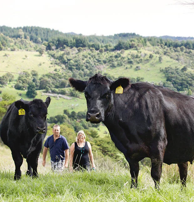 Absolute Angus named supreme winner of the Outstanding NZ Food Producer Awards