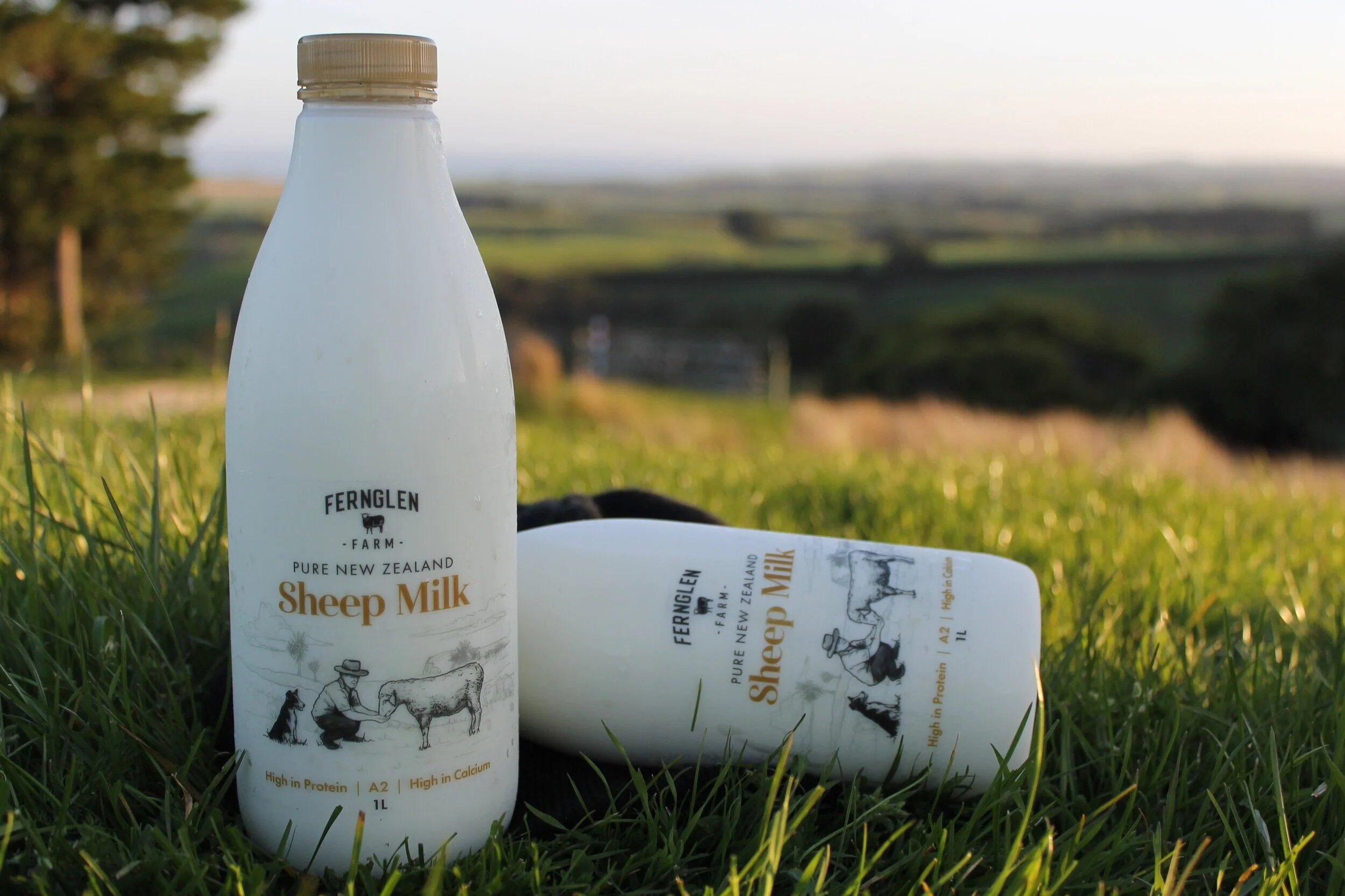 Peoples+Choice+Producer+Fern+Glen+Farm+Sheep+Milk.jpg