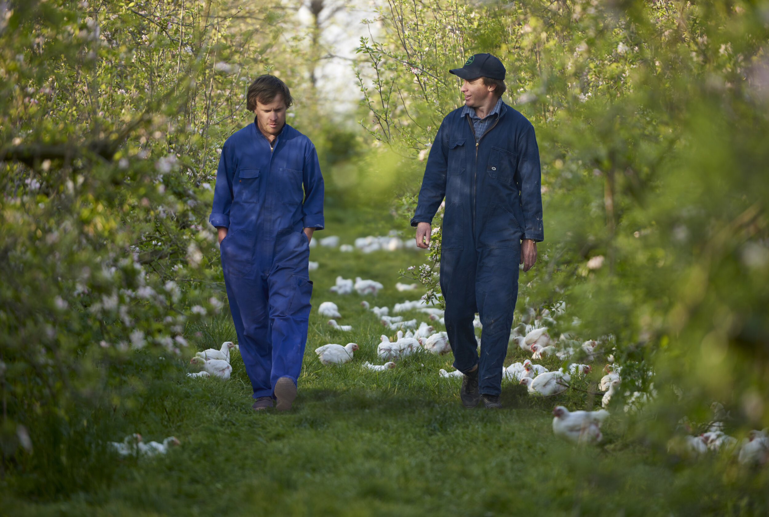 OUTSTANDING NZ FOOD PRODUCER AWARDS CHAMPIONS ANNOUNCED