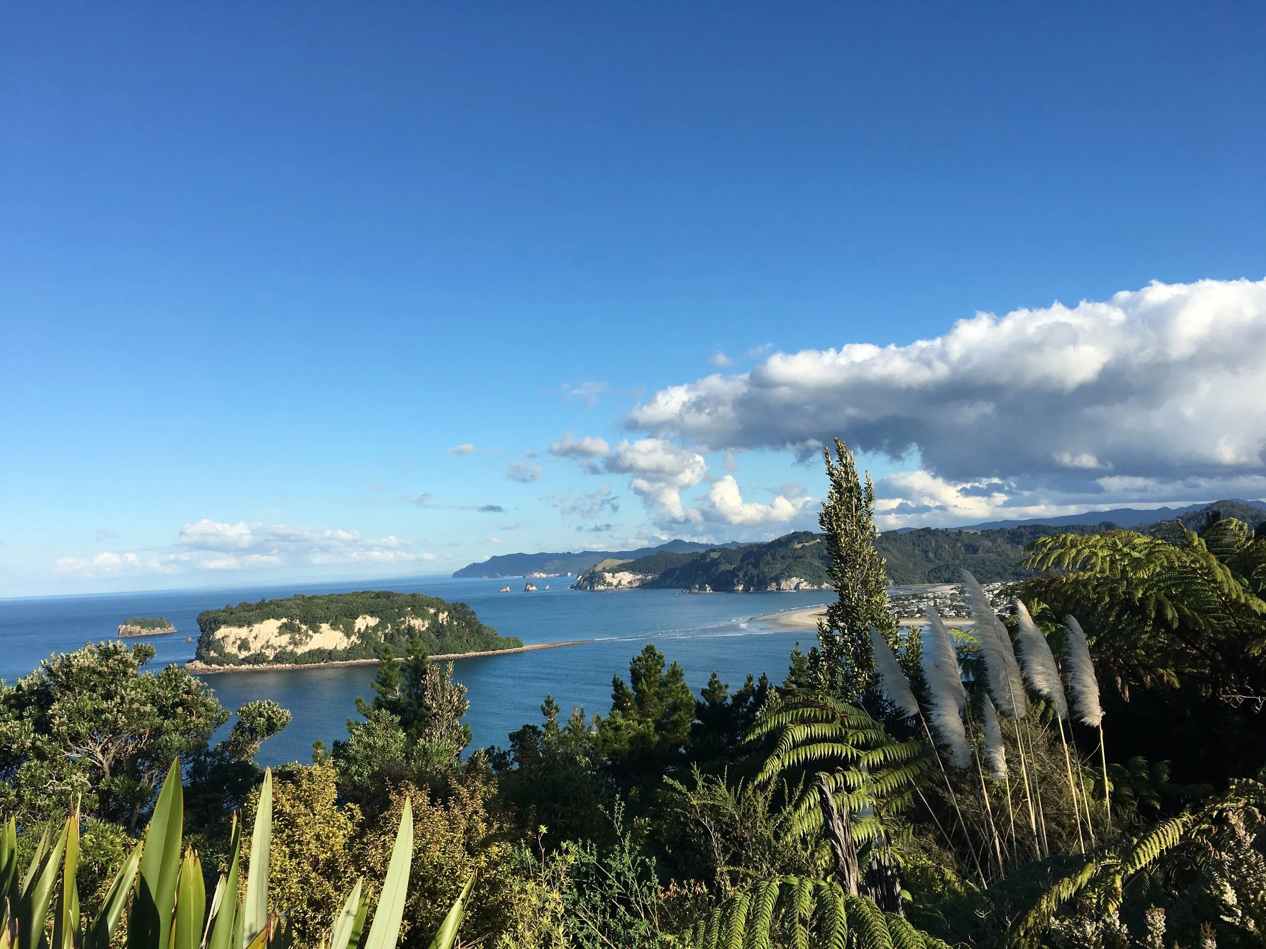 Overlooking Whangamata Harbour