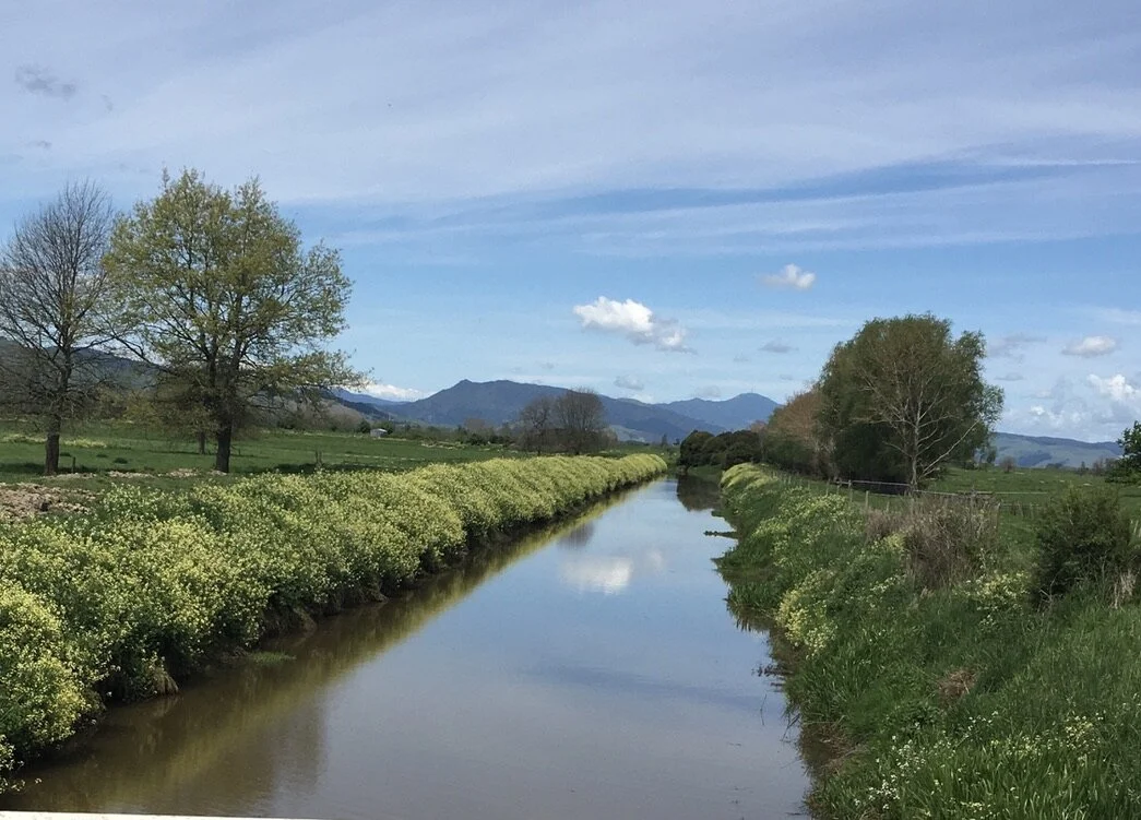 Wayne Laurenson - Mt Karangahake + Mt Te Aroha.jpeg