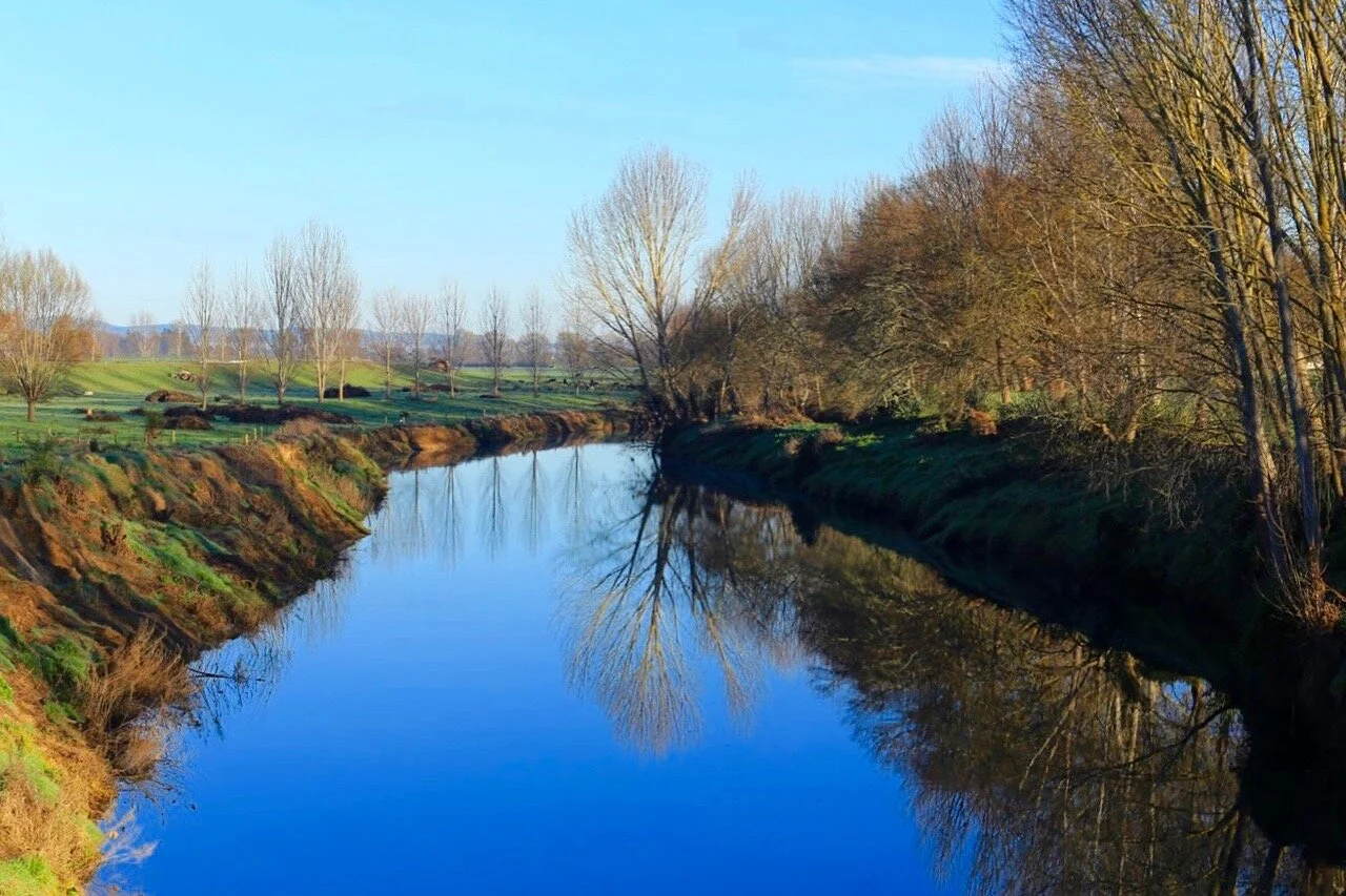 Ohinemuri Paeroa.jpg