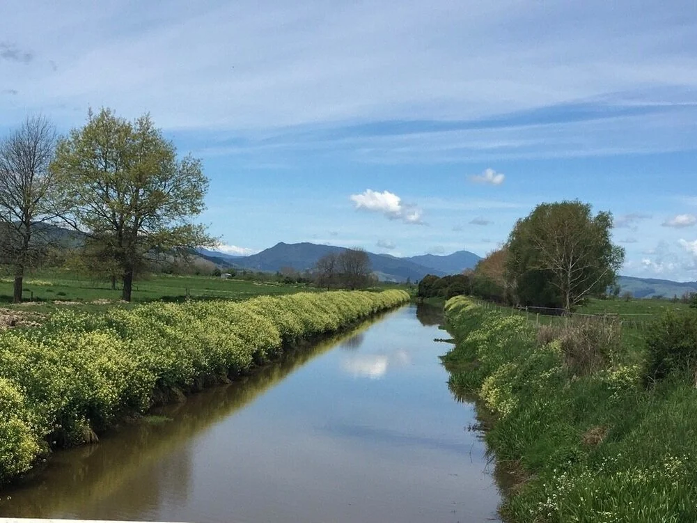 Mt Karangahake and Mt Te Aroha
